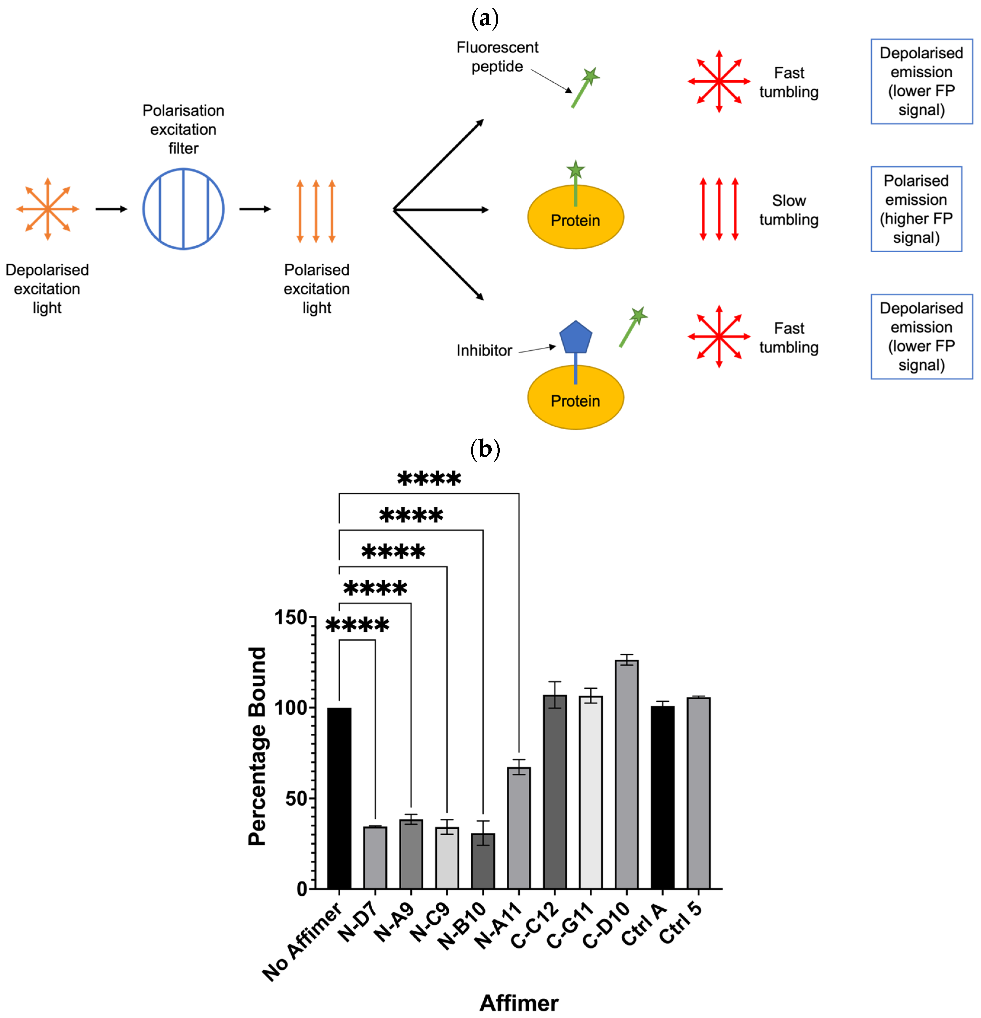 Biomolecules 14 01040 g008 Biomolecules 14 01040 g008