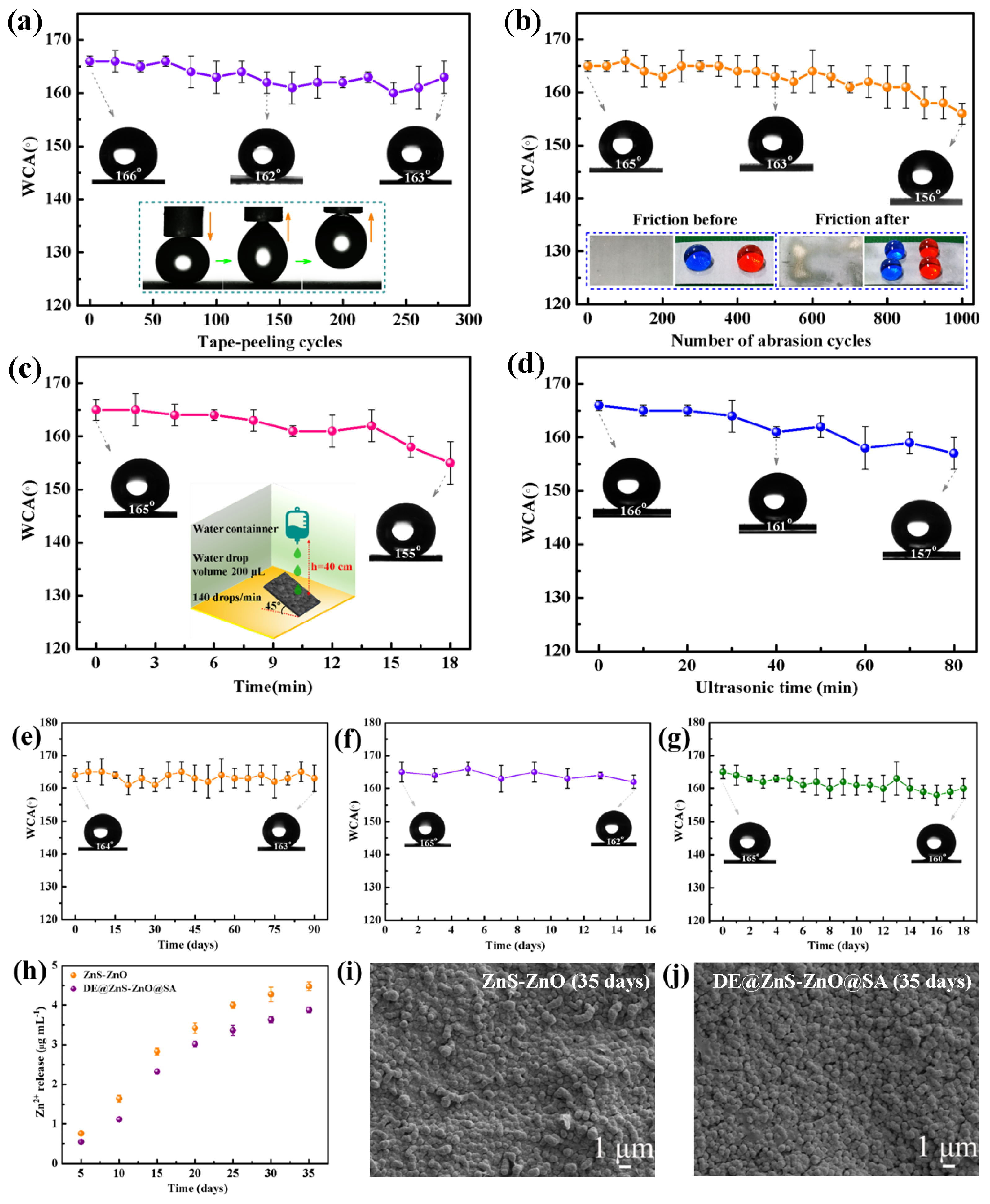 Biomolecules 14 01041 g003