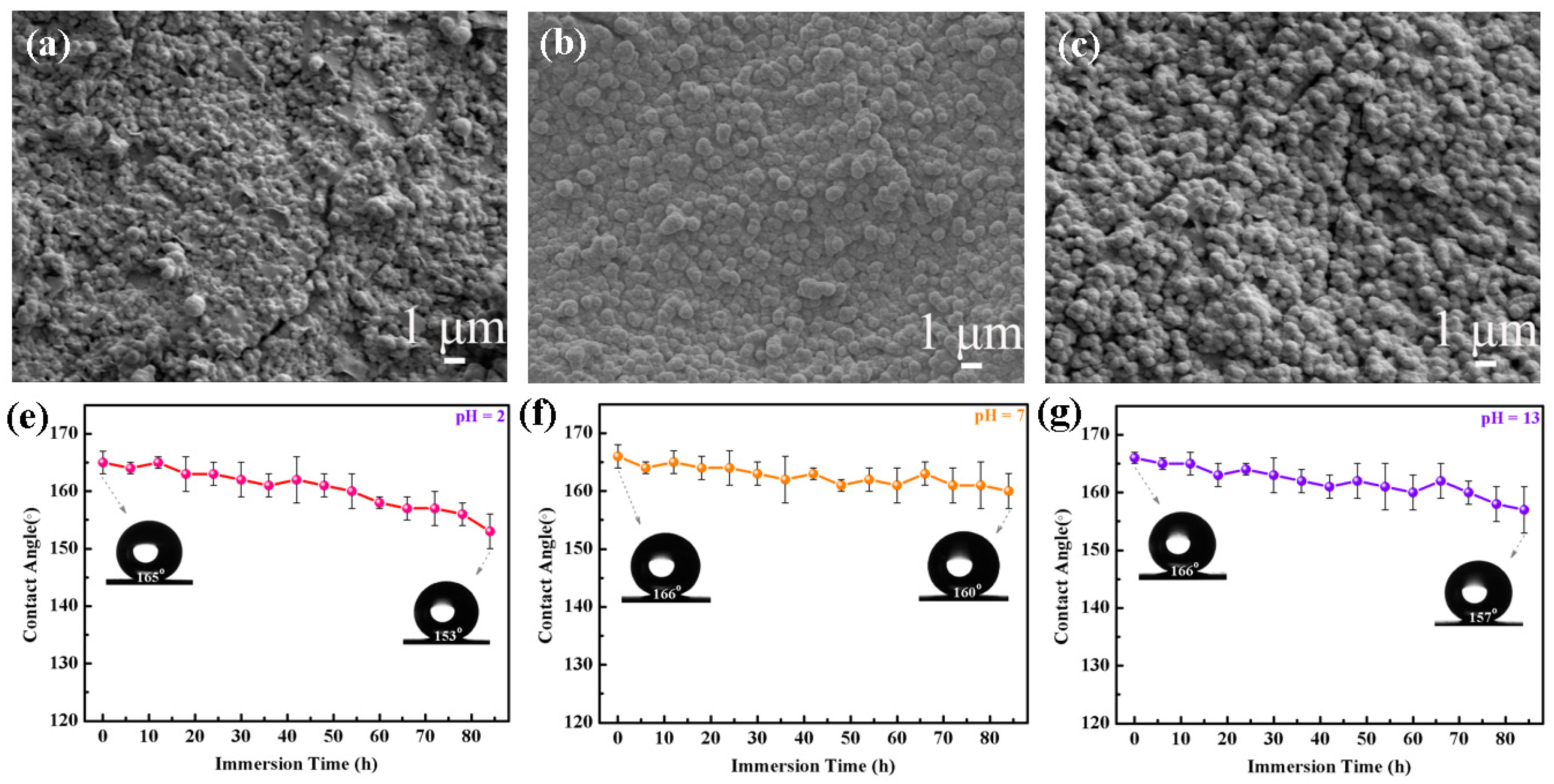Biomolecules 14 01041 g004a