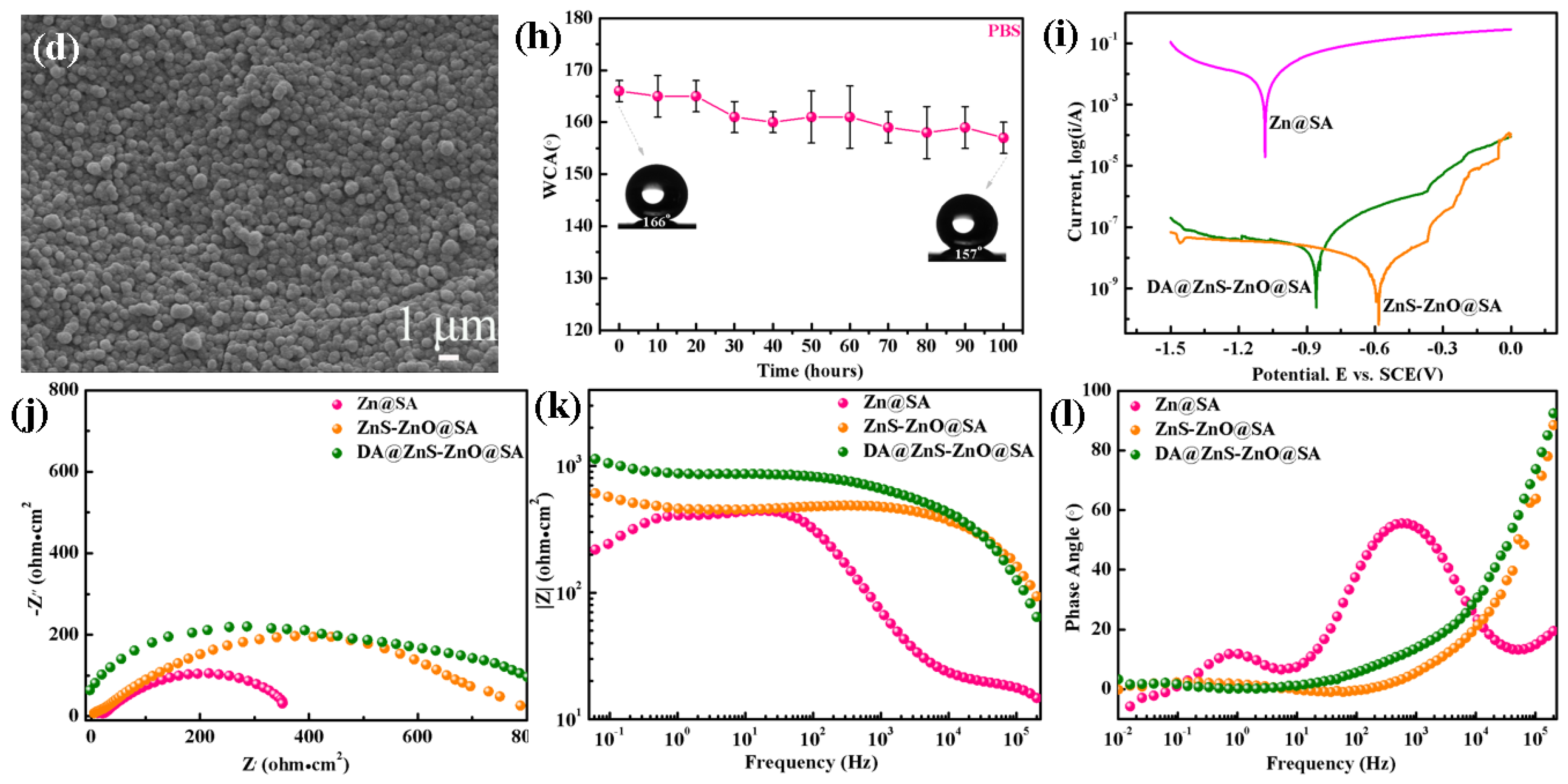 Biomolecules 14 01041 g004b