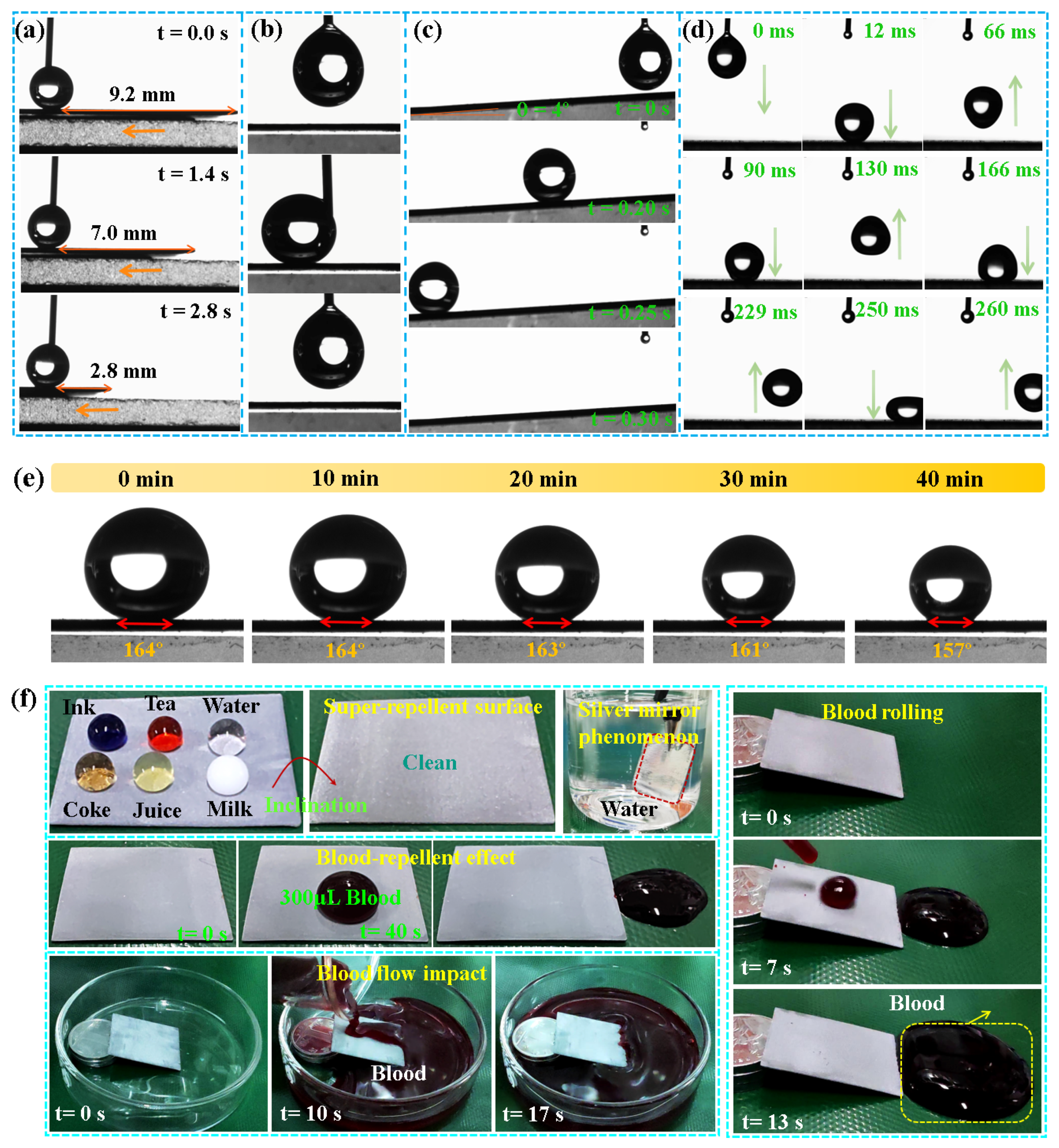 Biomolecules 14 01041 g005