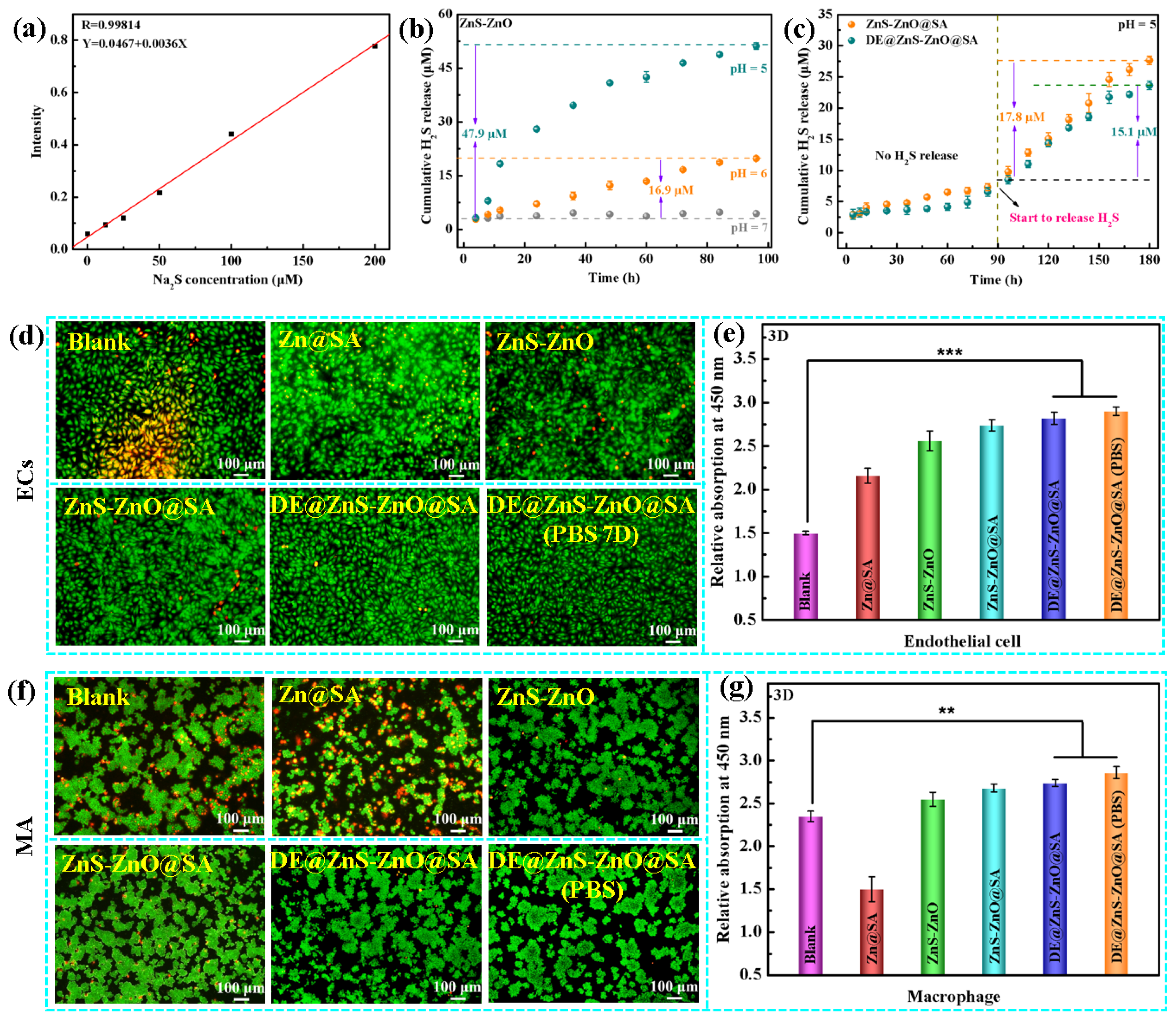 Biomolecules 14 01041 g006