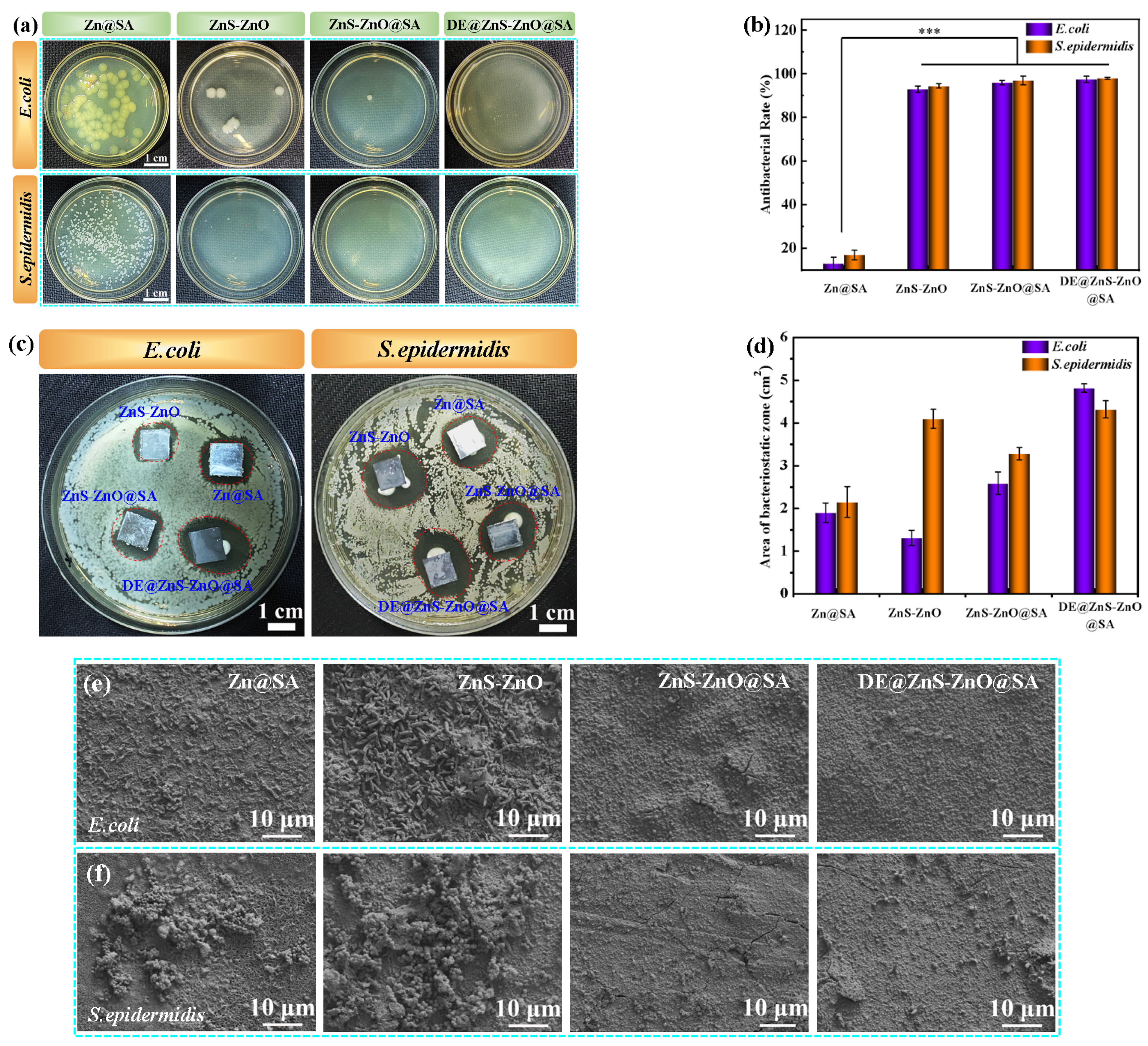 Biomolecules 14 01041 g009