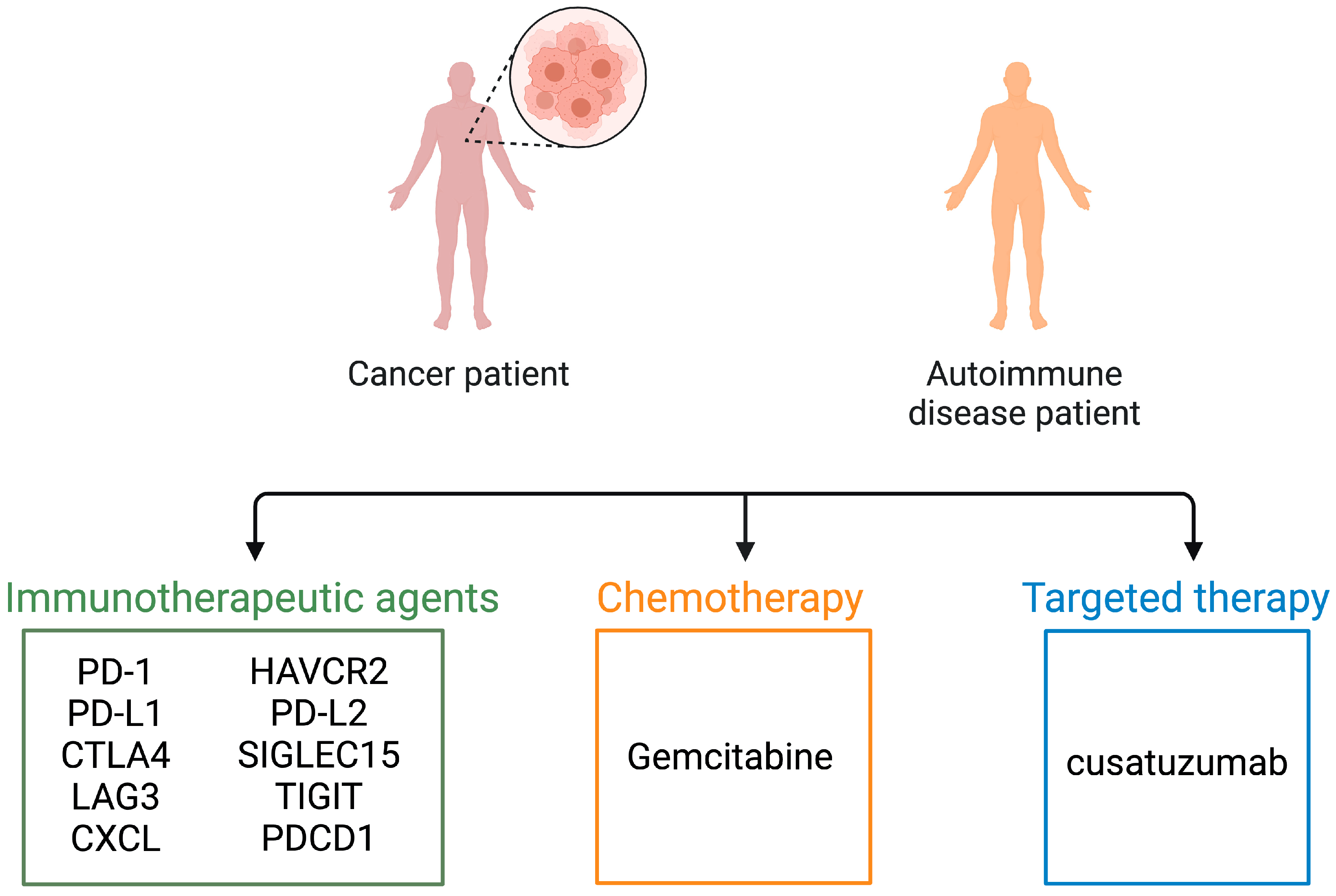 Biomolecules 14 01042 g004