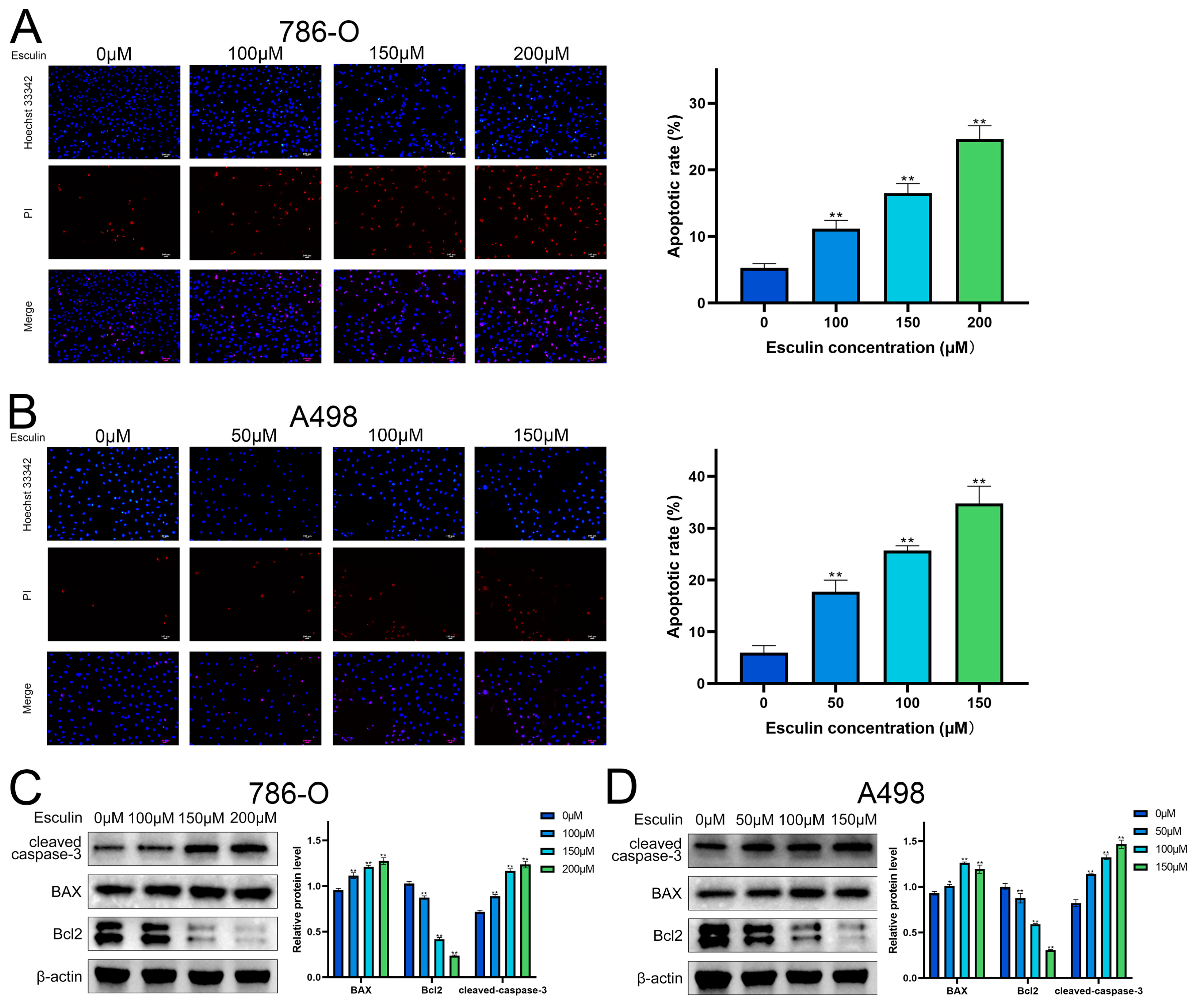 Biomolecules 14 01043 g005