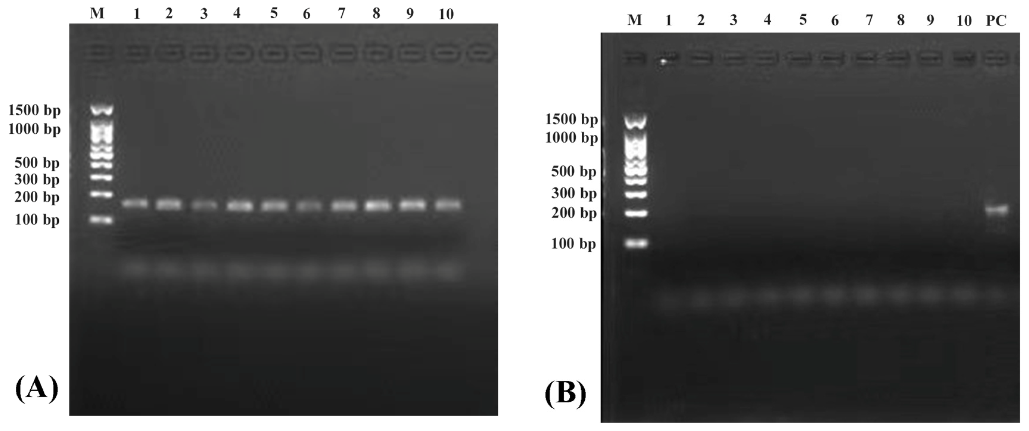 Biomolecules 14 01045 g001 Biomolecules 14 01045 g001