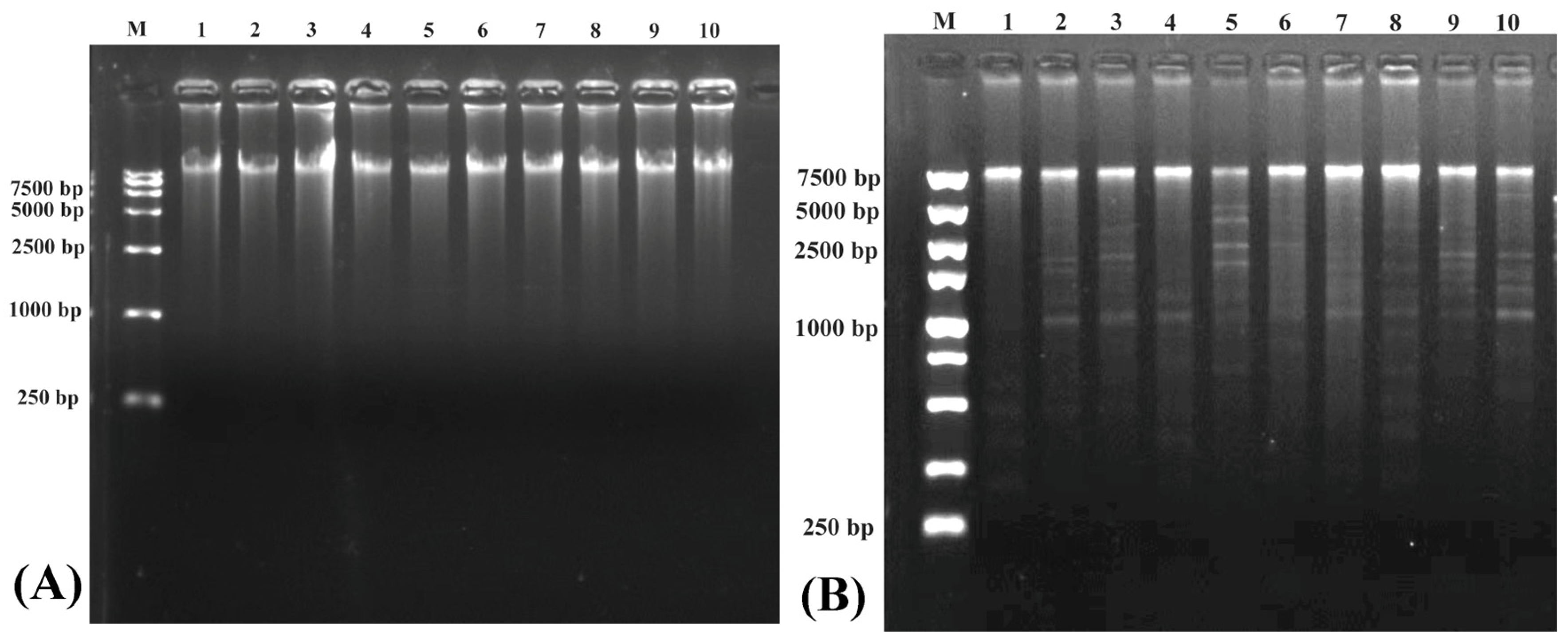 Biomolecules 14 01045 g002 Biomolecules 14 01045 g002