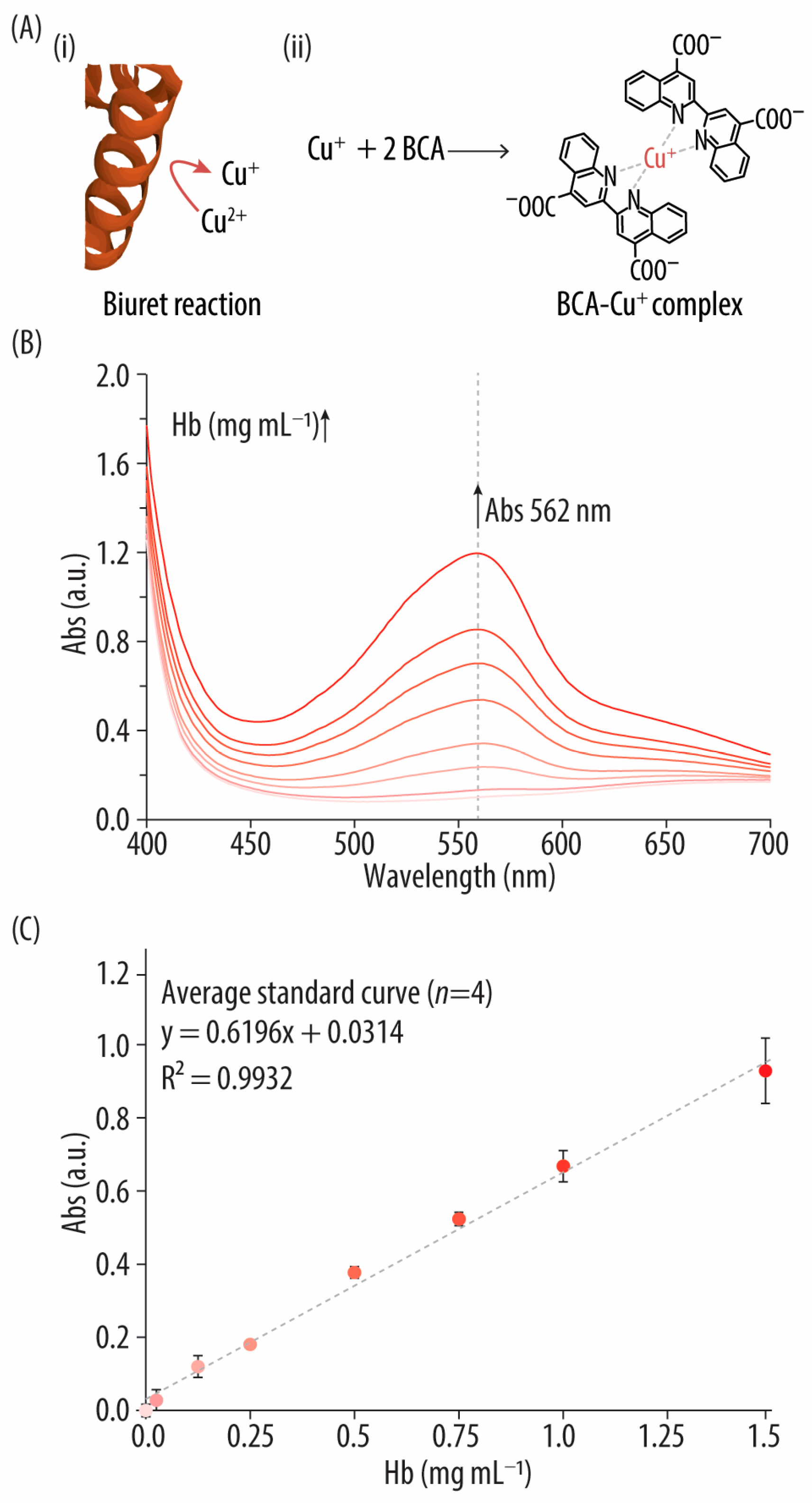 Biomolecules 14 01046 g001