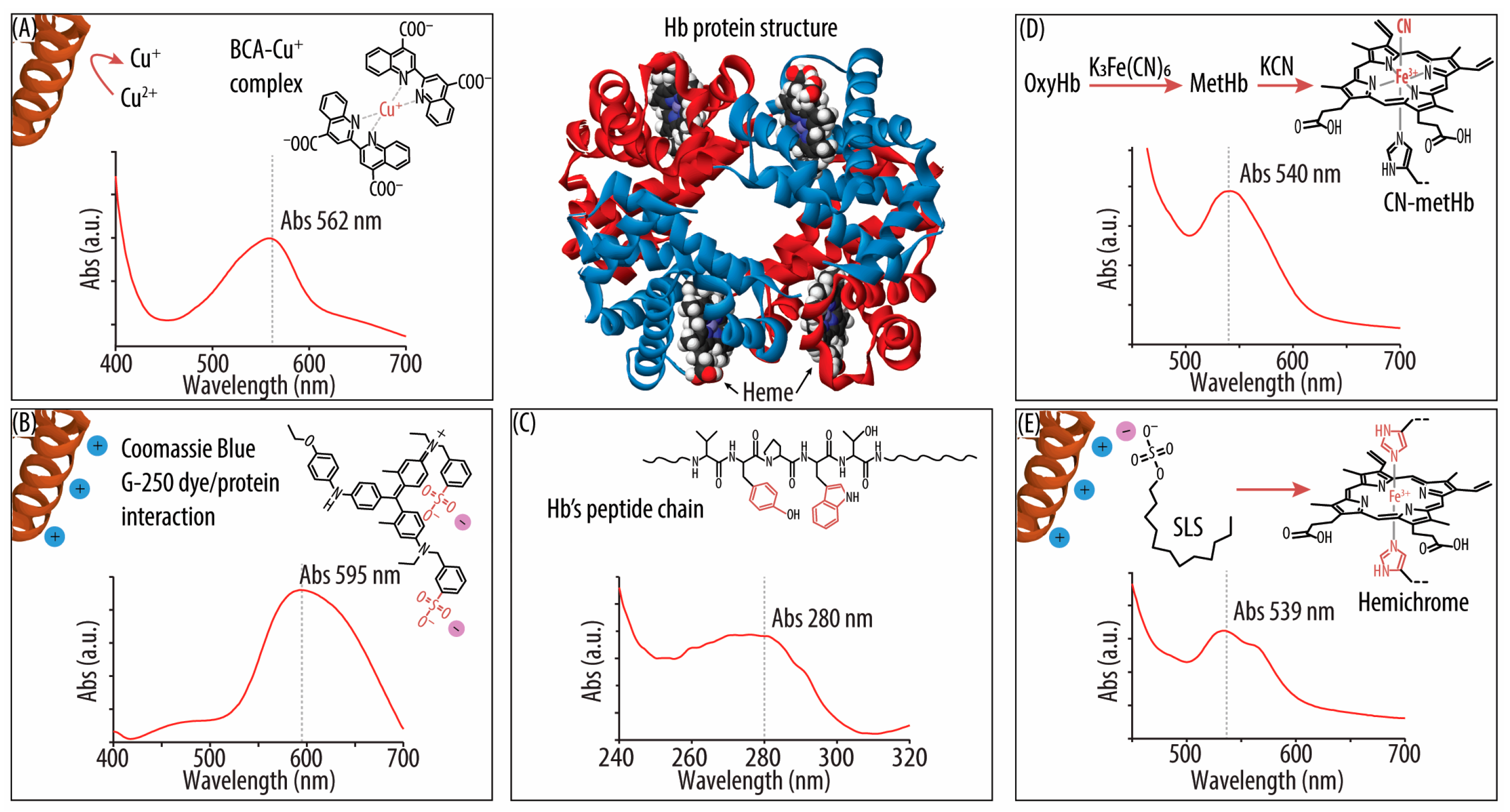 Biomolecules 14 01046 sch001