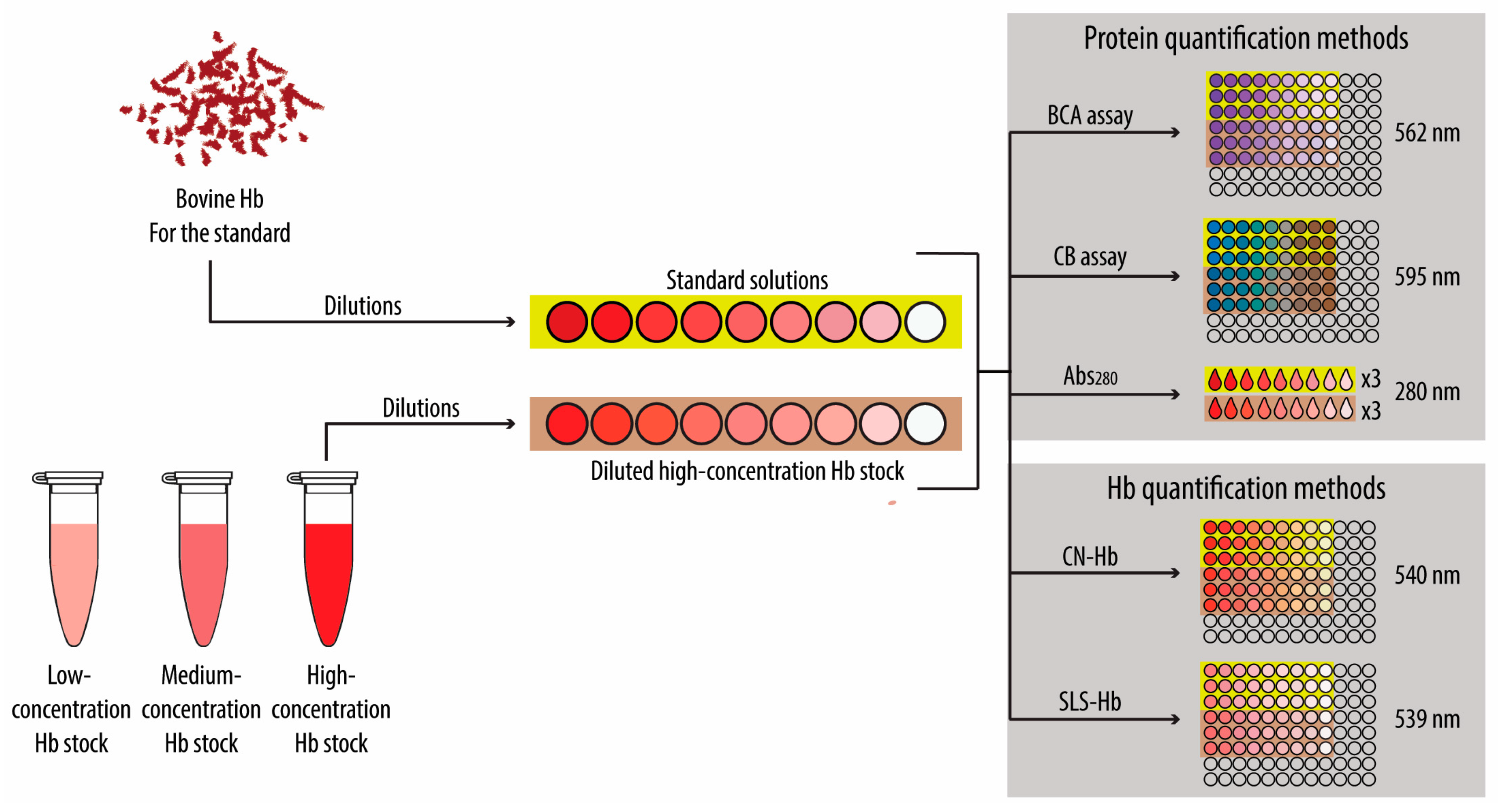 Biomolecules 14 01046 sch002