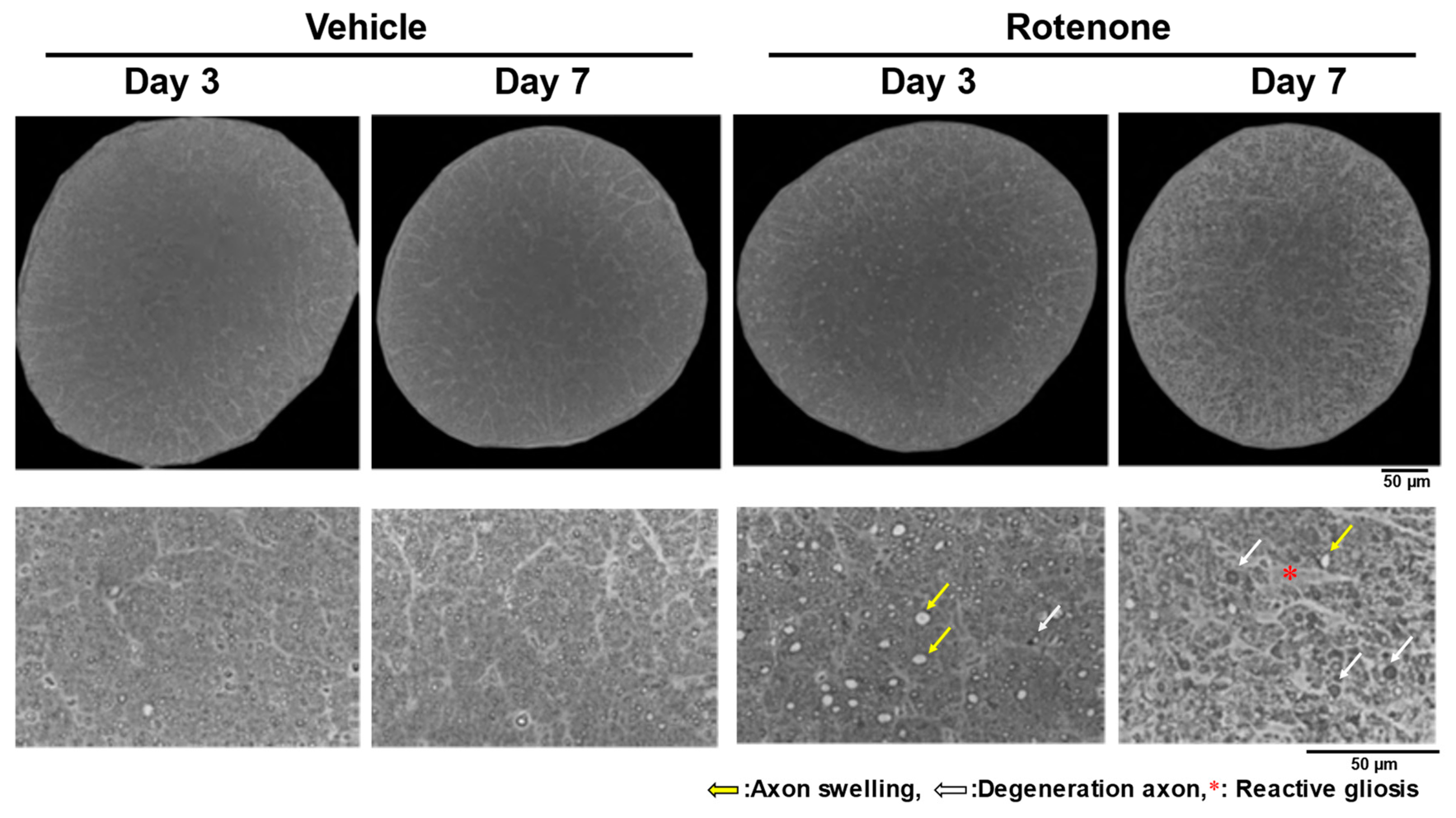 Biomolecules 14 01047 g001