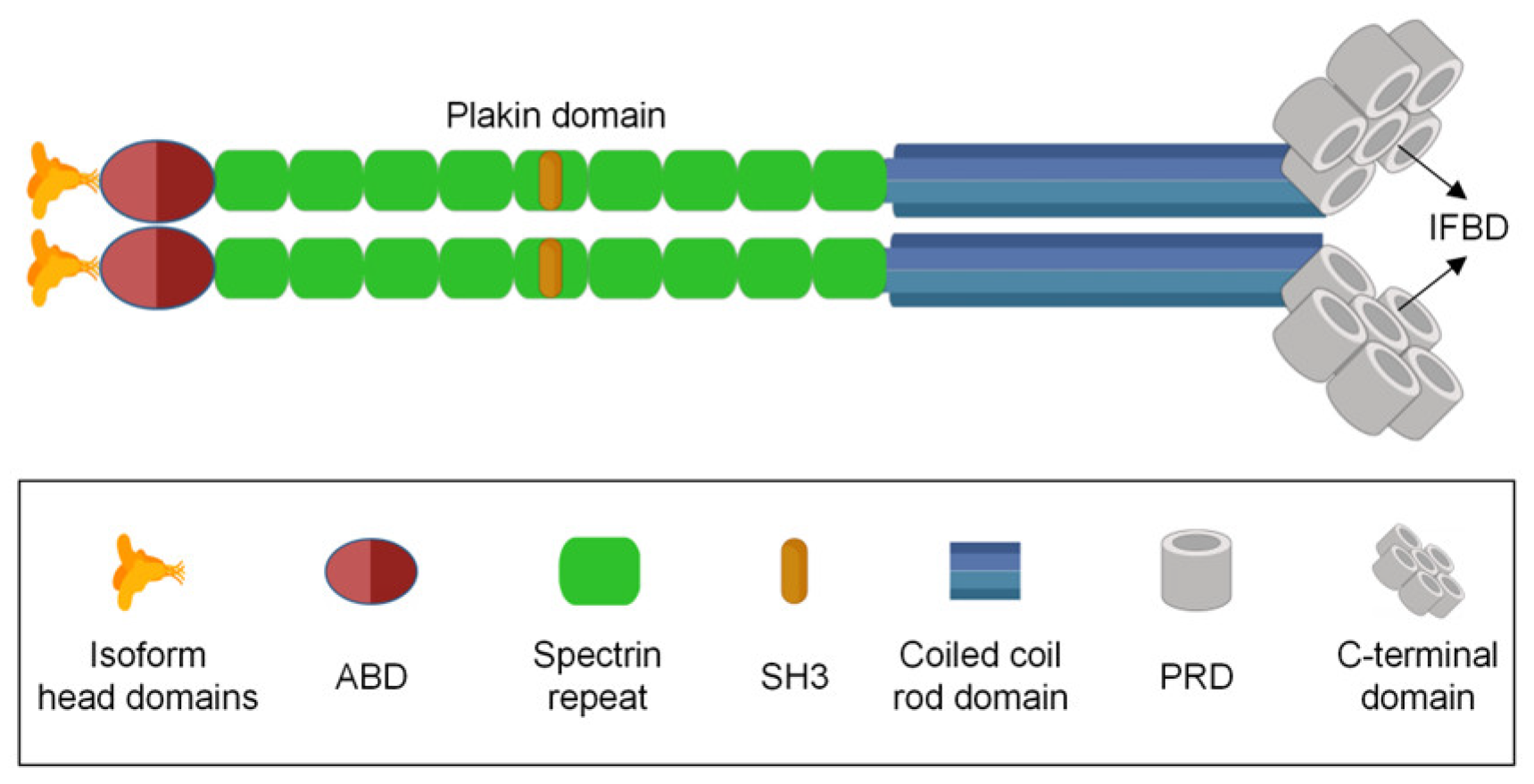 Biomolecules 14 01050 g001 Biomolecules 14 01050 g001