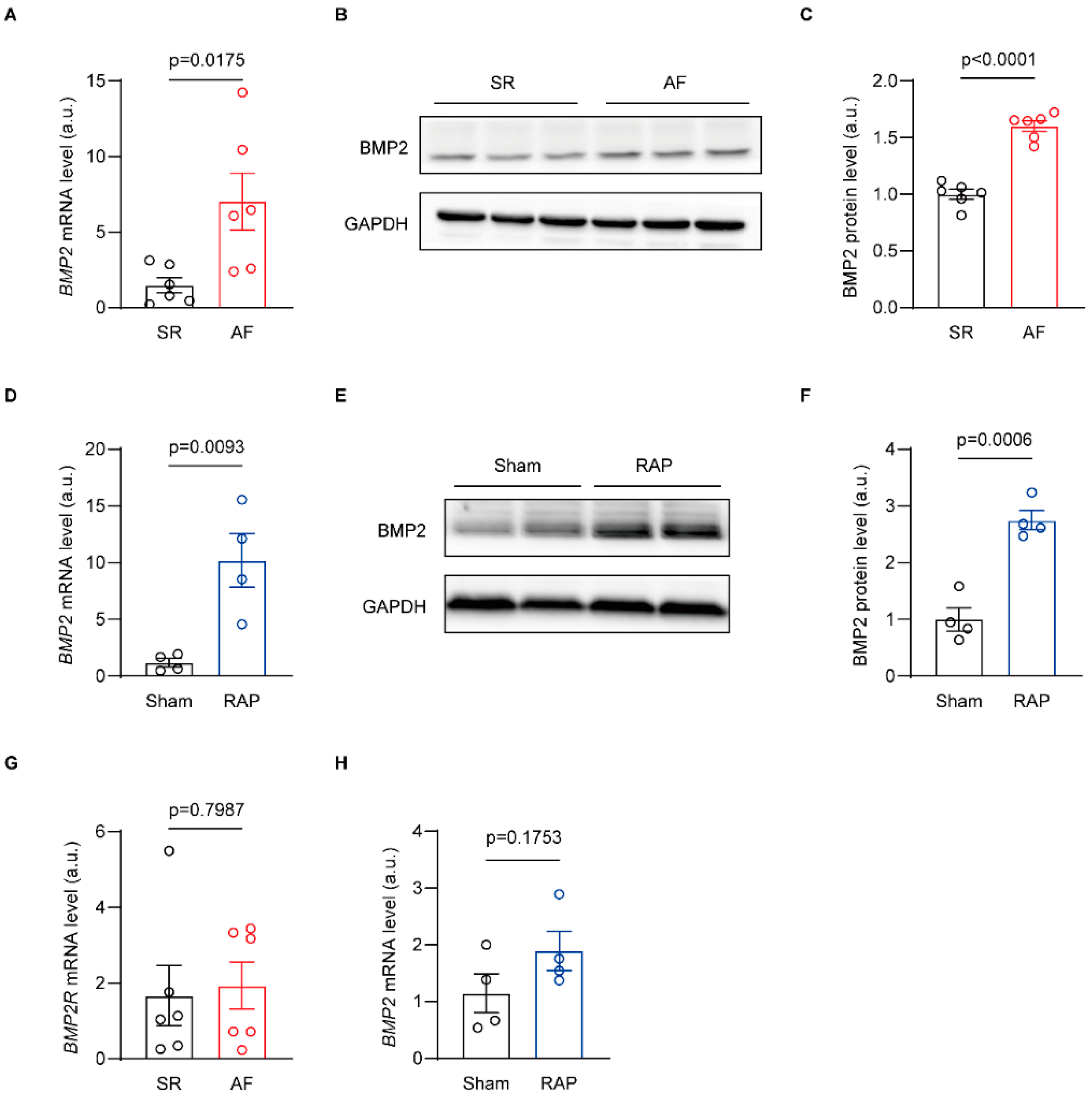 Biomolecules 14 01053 g001