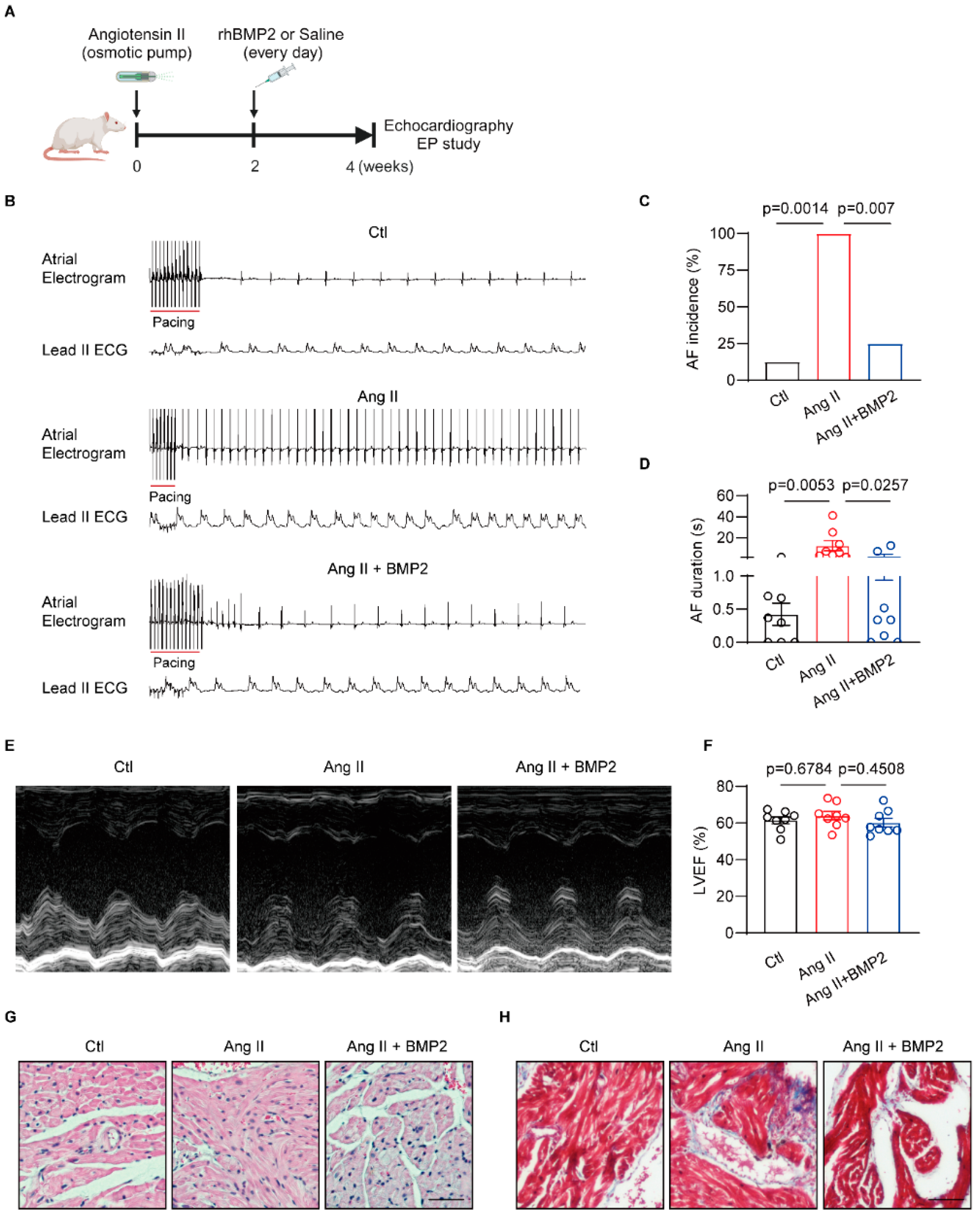 Biomolecules 14 01053 g002
