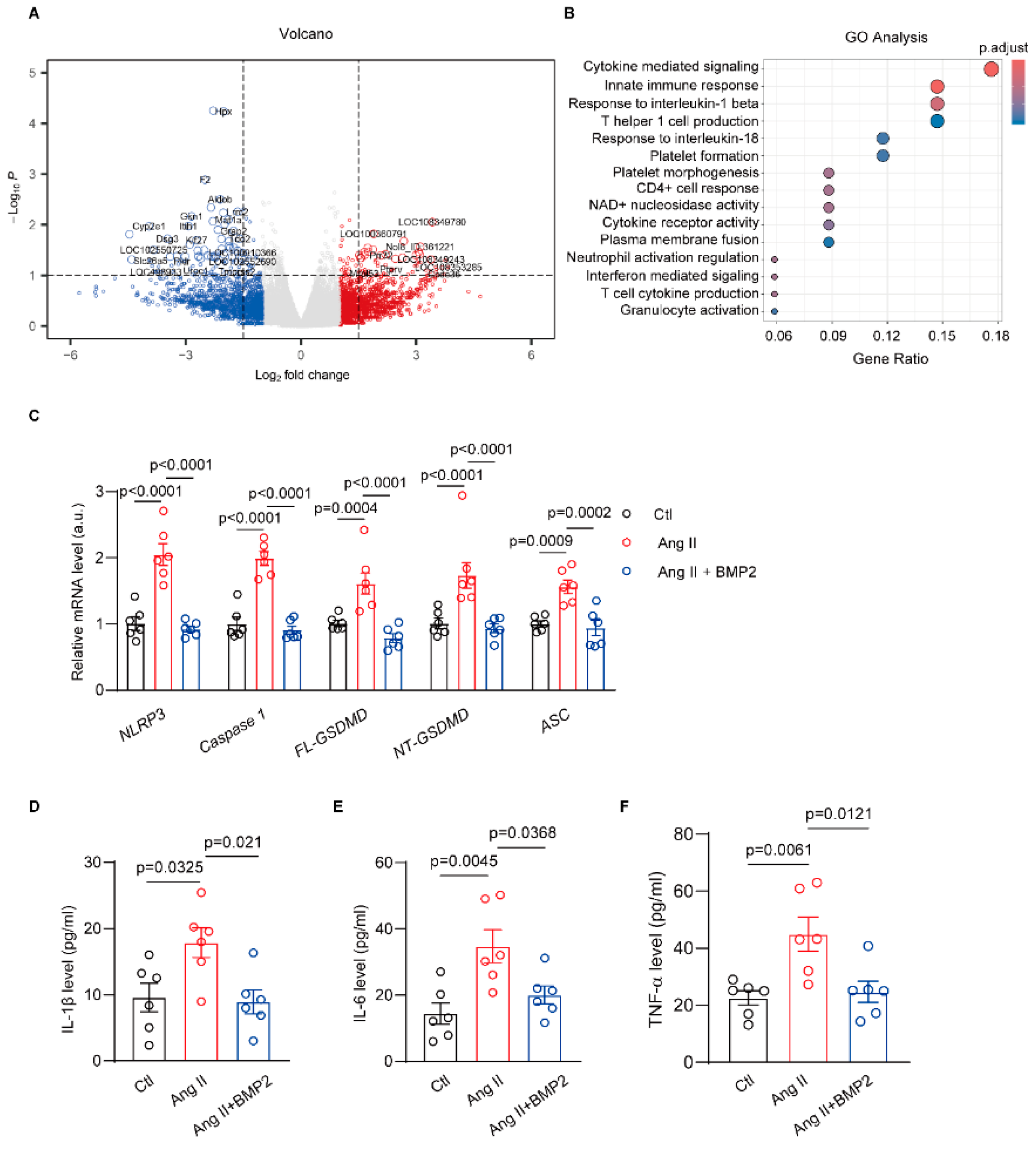 Biomolecules 14 01053 g003