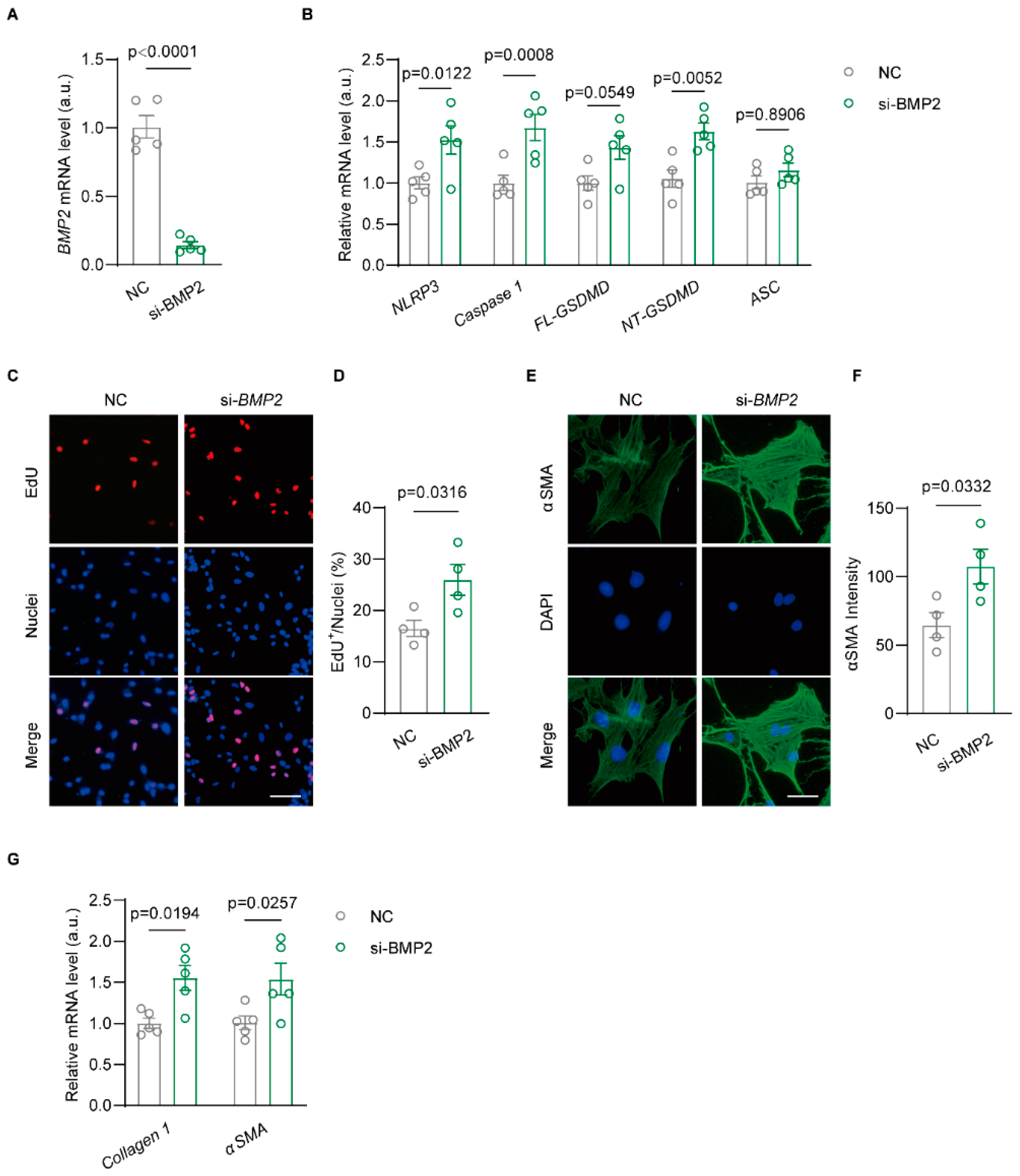 Biomolecules 14 01053 g004
