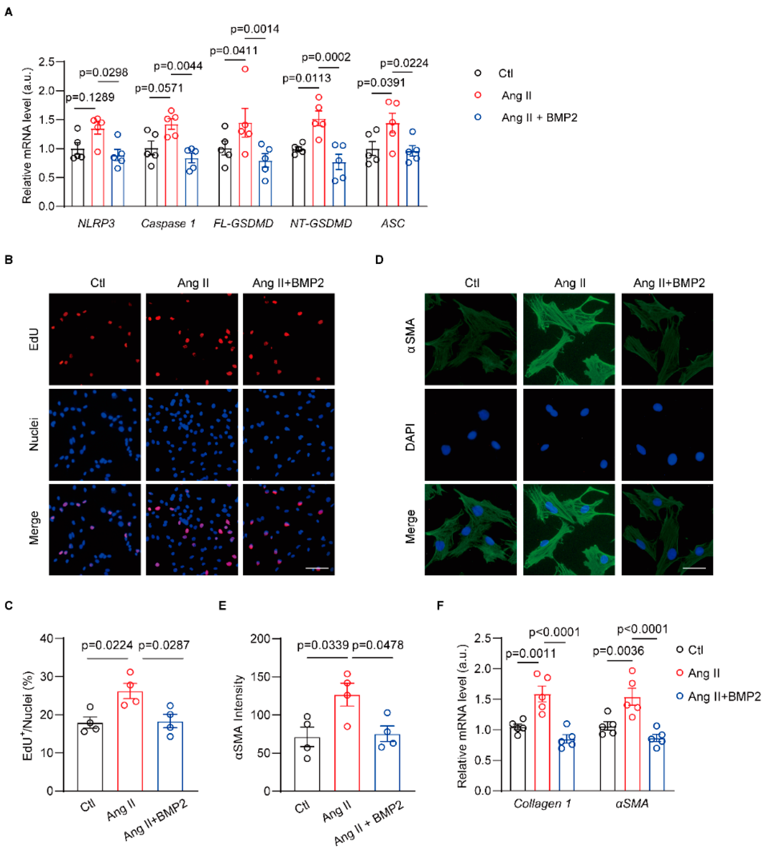 Biomolecules 14 01053 g005