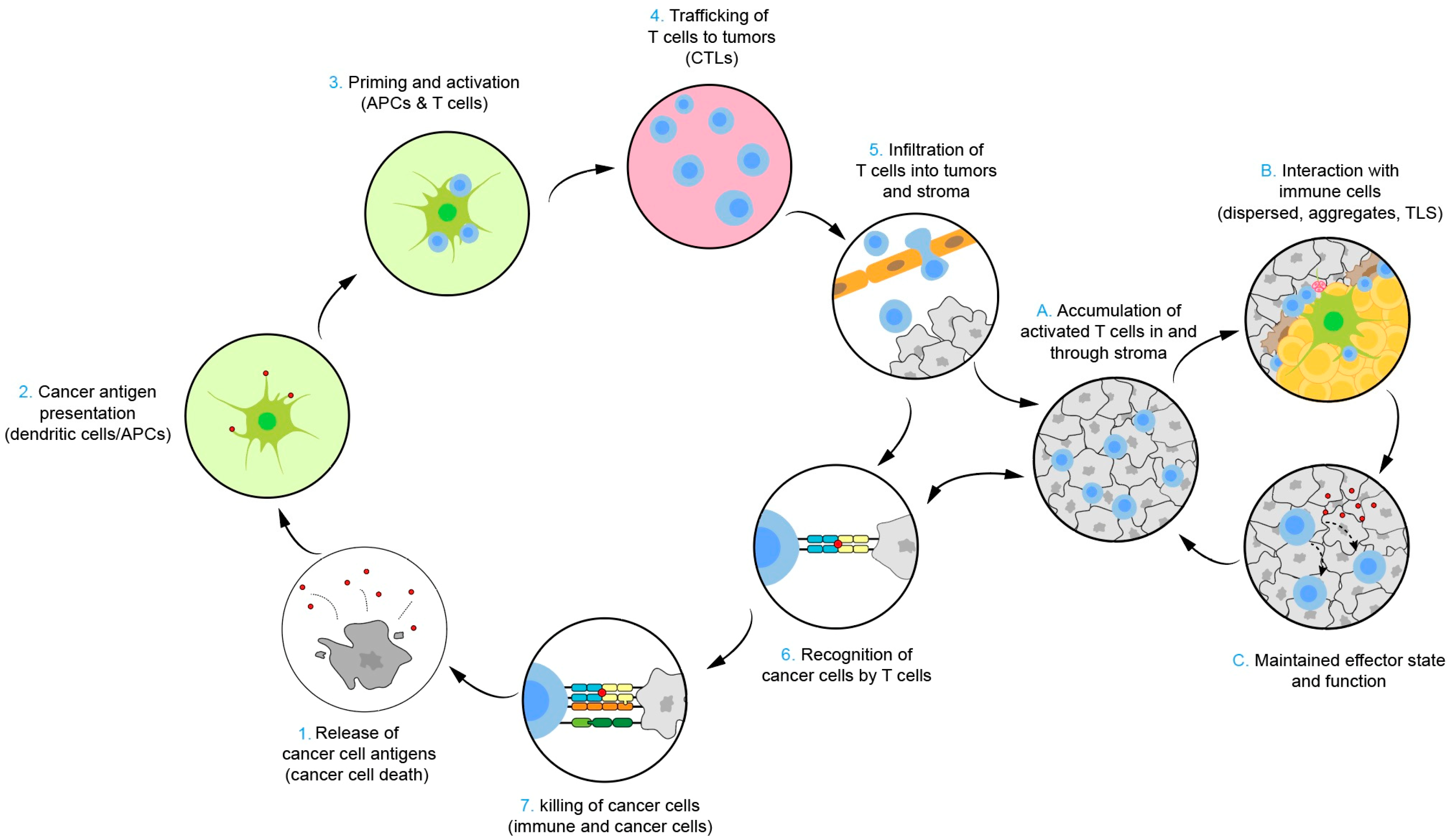 Biomolecules 14 01057 g001