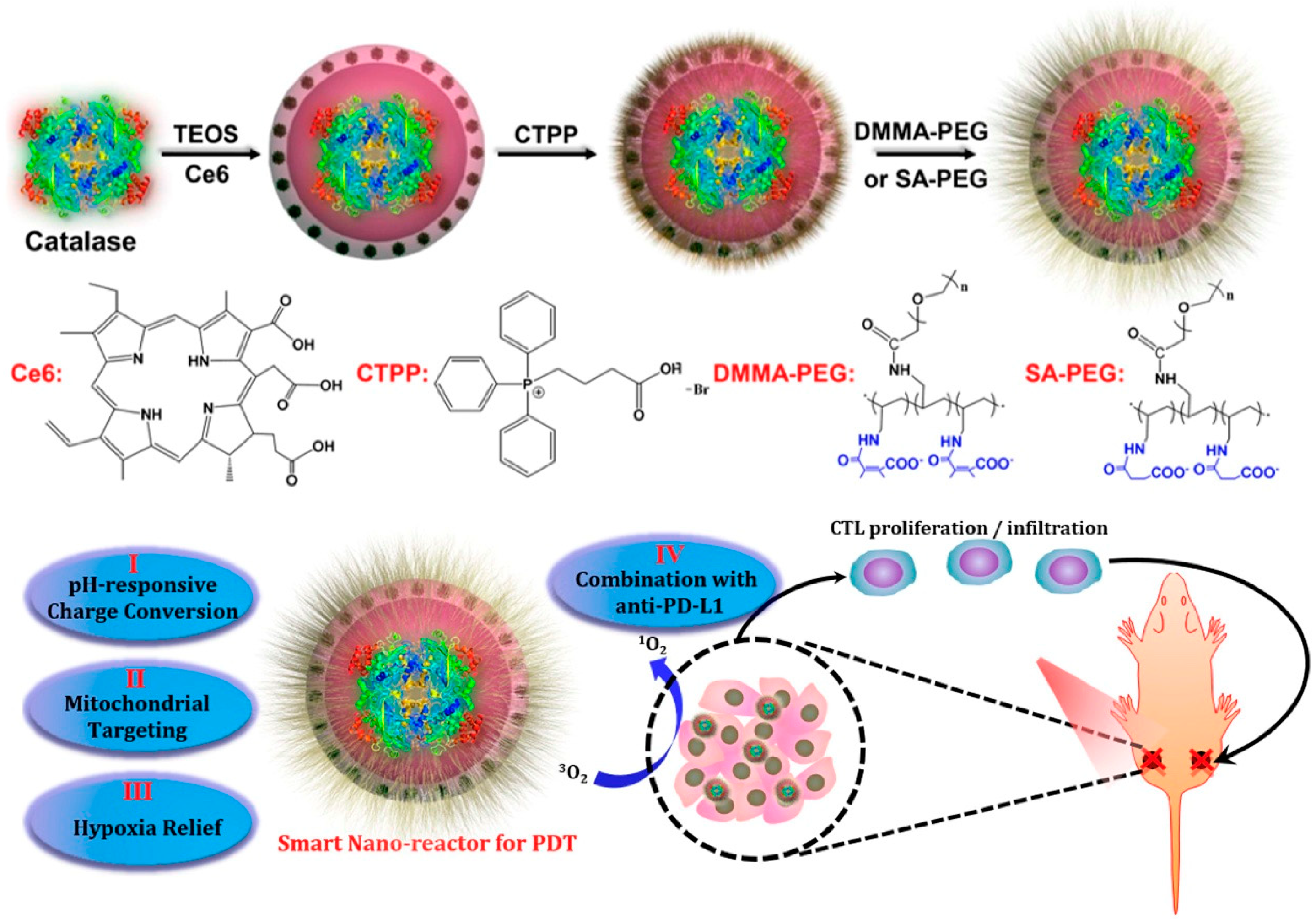 Biomolecules 14 01057 g002