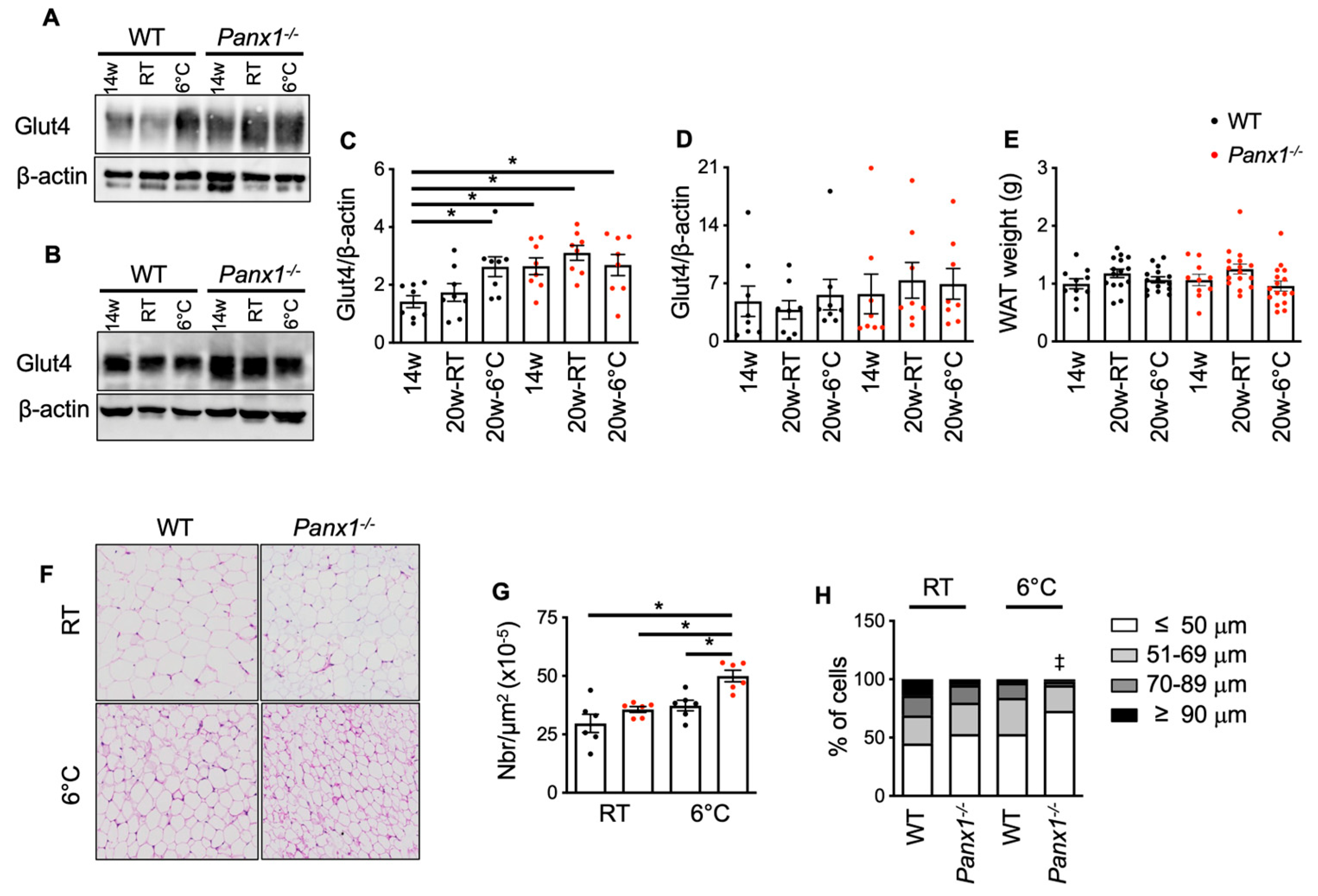 Biomolecules 14 01058 g005