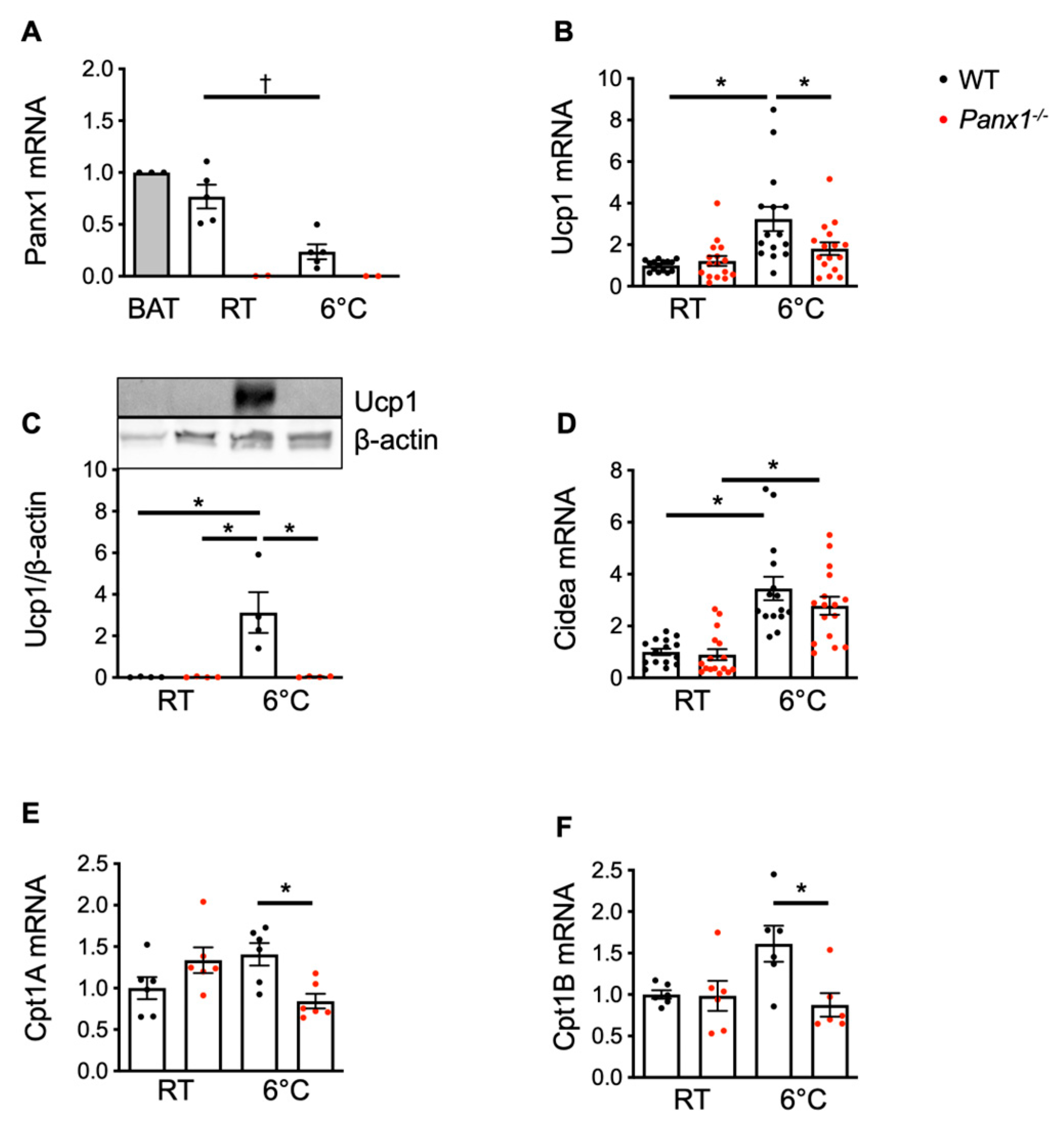 Biomolecules 14 01058 g006