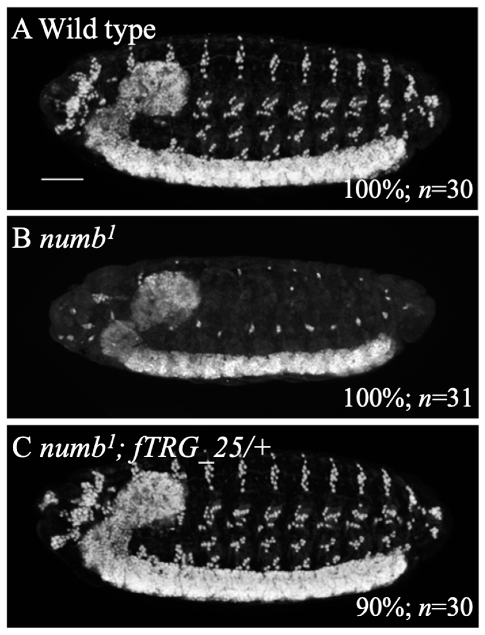Biomolecules 14 01062 g002 Biomolecules 14 01062 g002