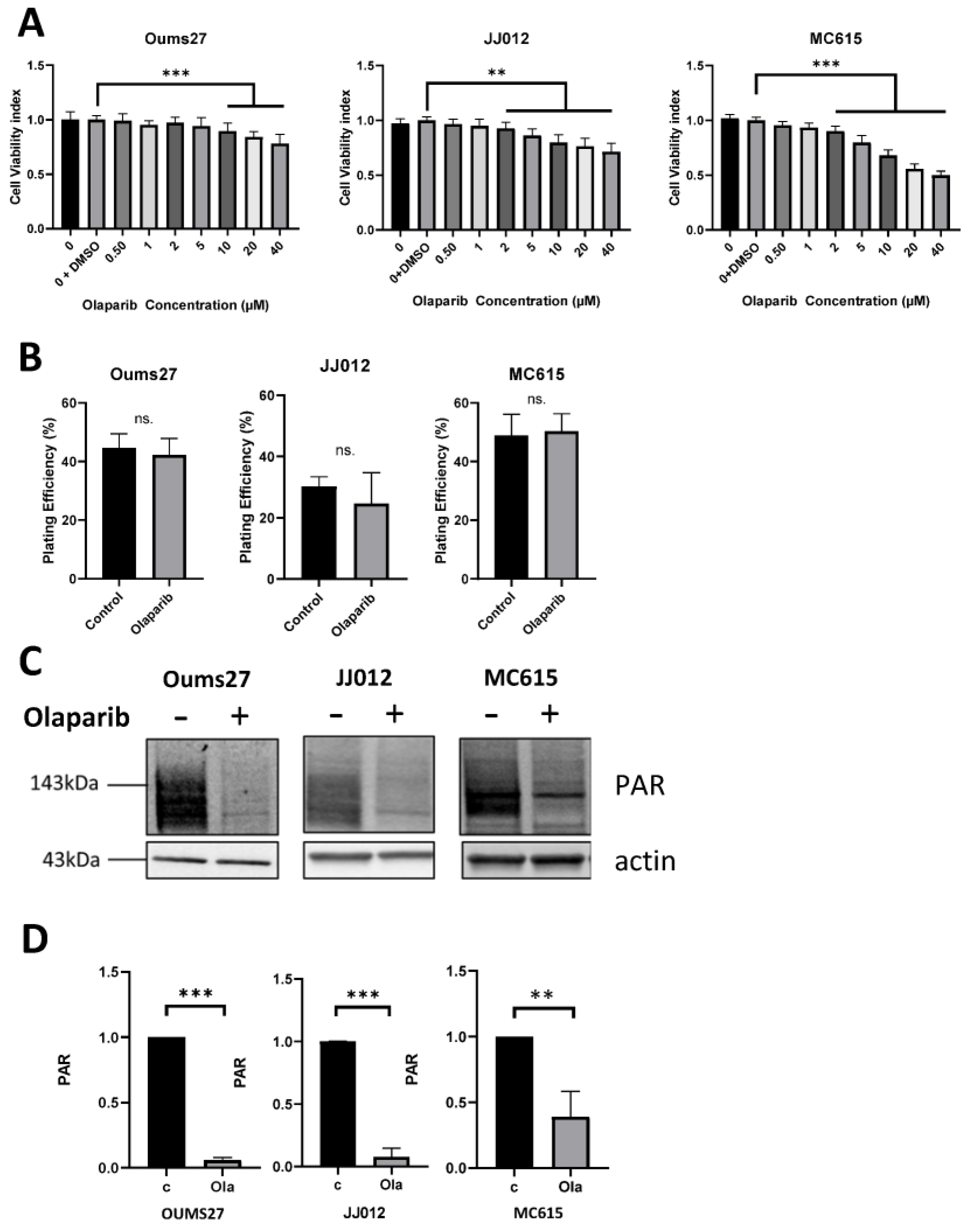 Biomolecules 14 01071 g002 Biomolecules 14 01071 g002