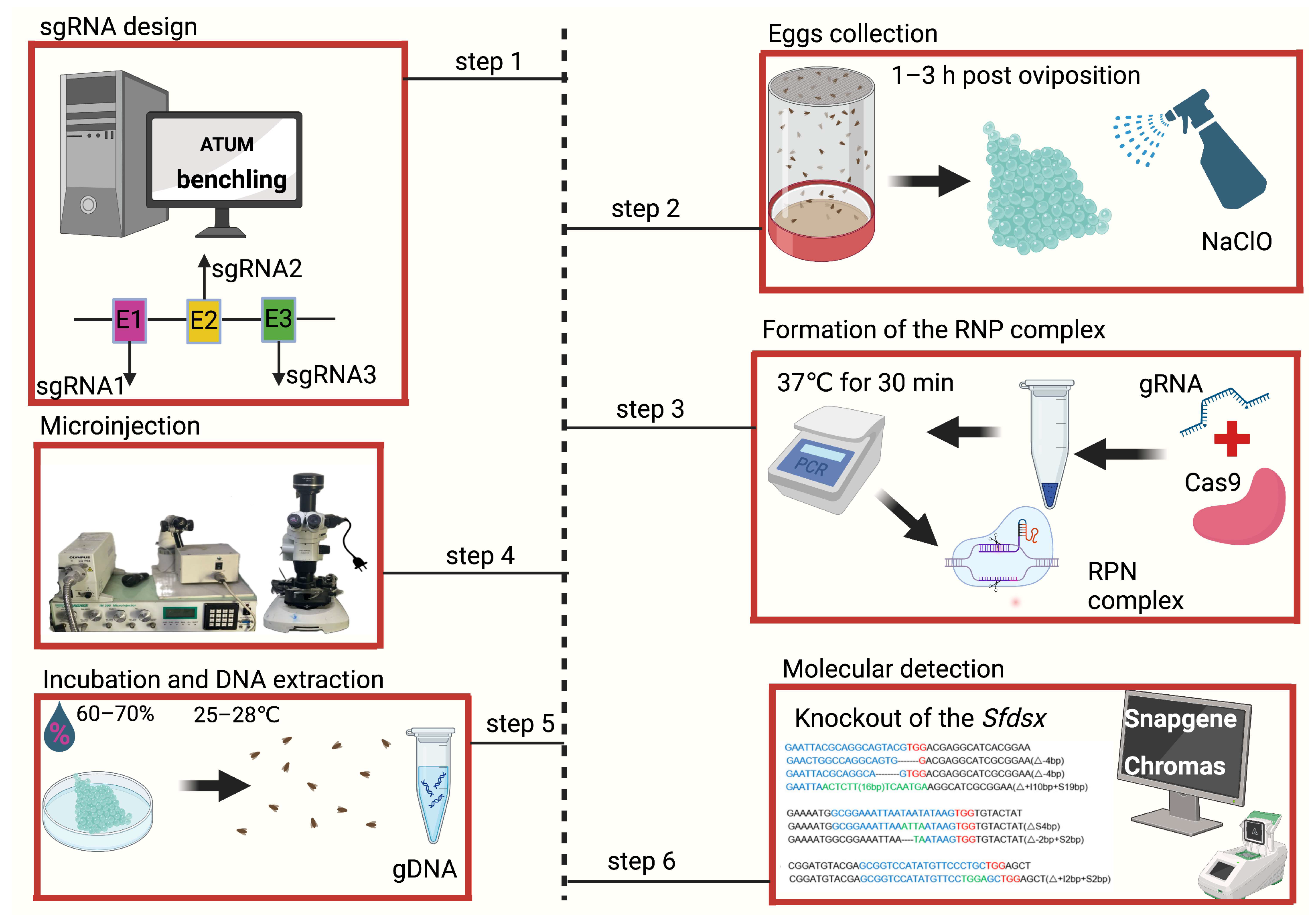 Biomolecules 14 01074 g001 Biomolecules 14 01074 g001