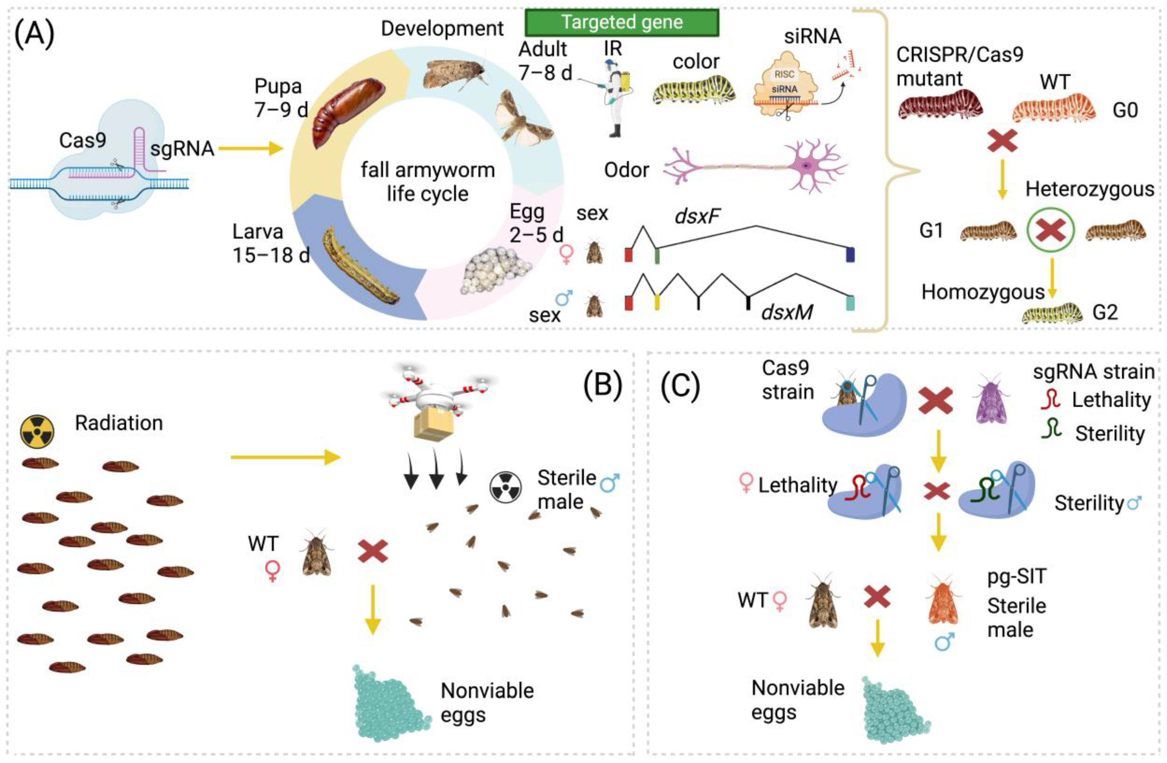 Biomolecules 14 01074 g002 Biomolecules 14 01074 g002