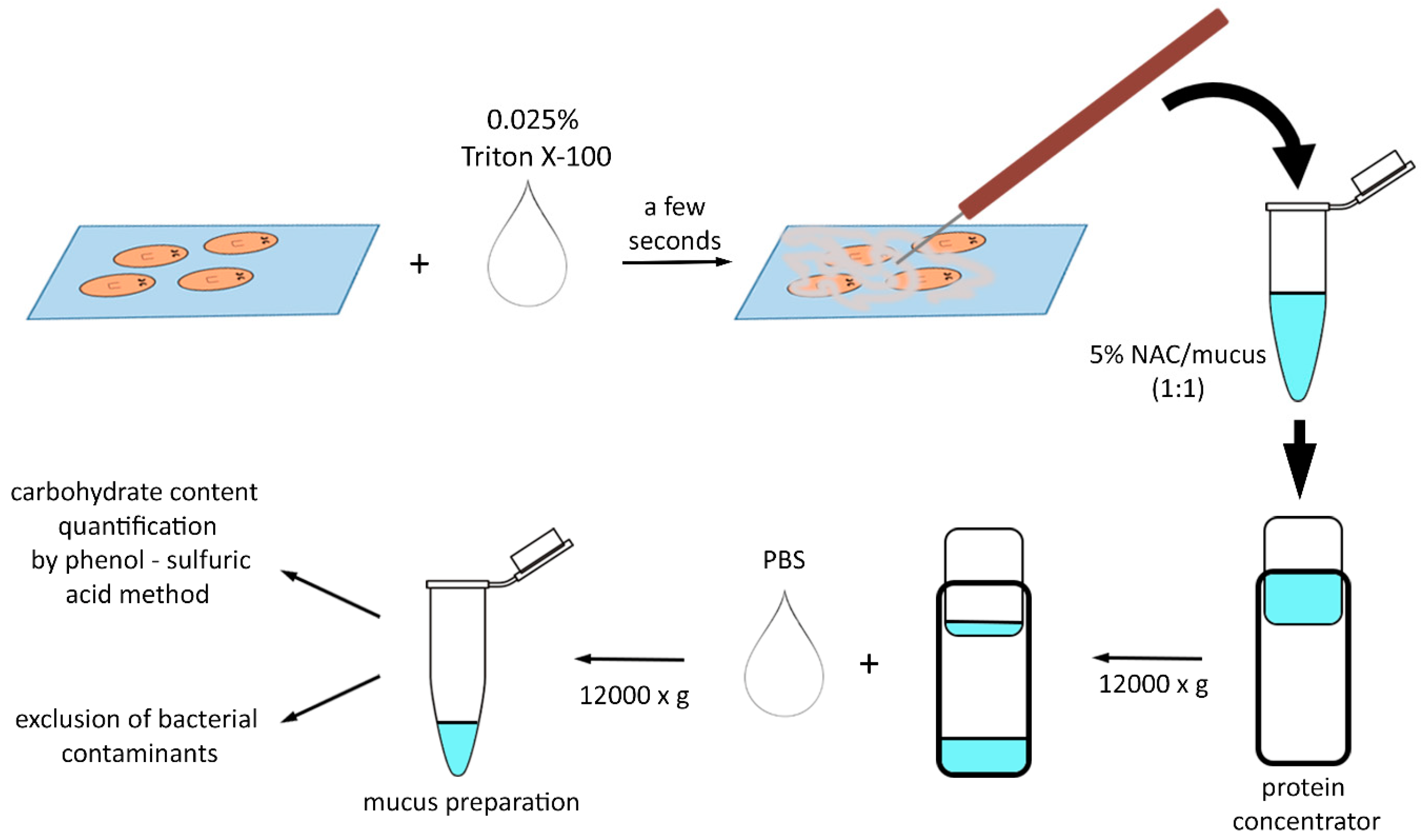 Biomolecules 14 01075 g001