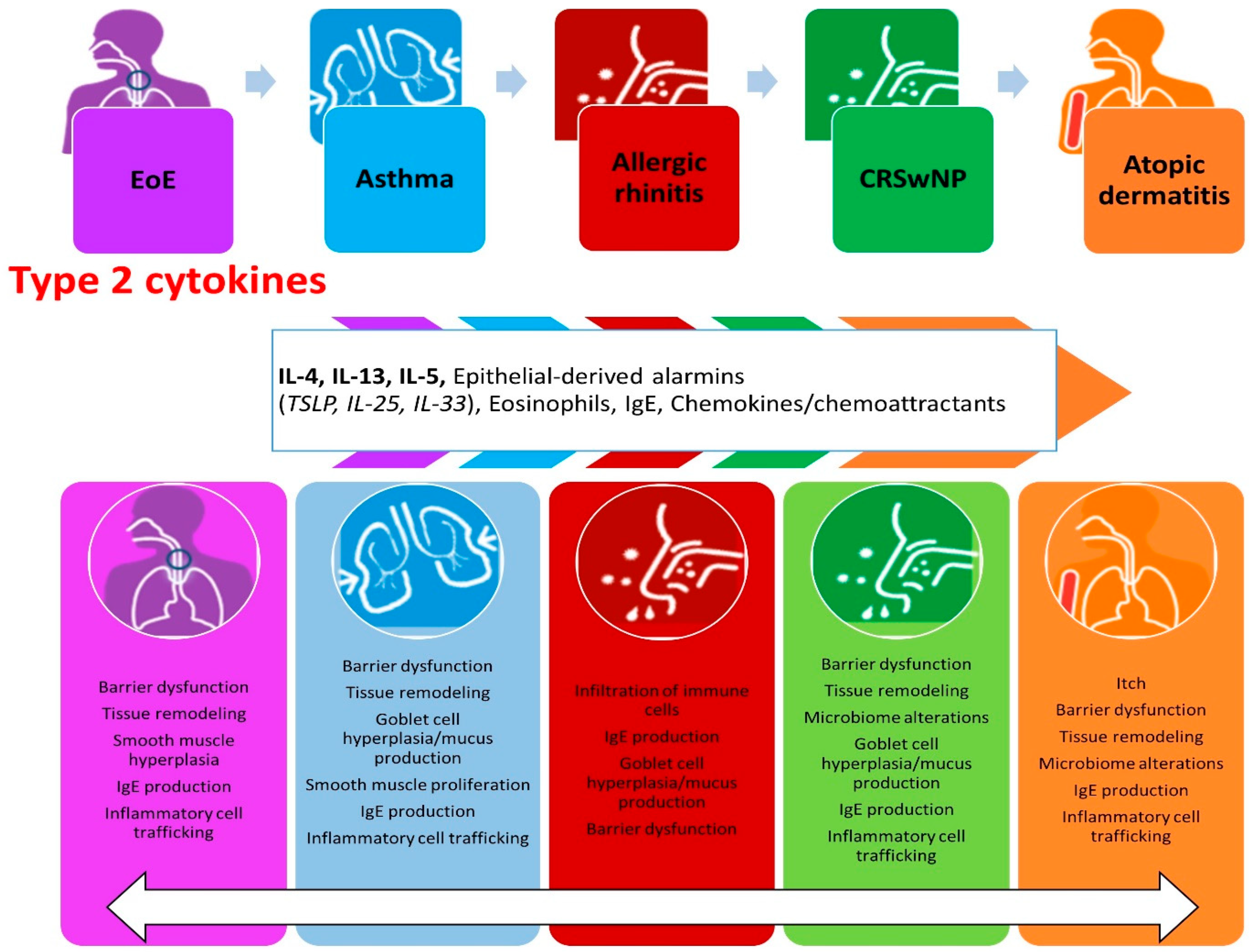 Biomolecules 14 01080 g001