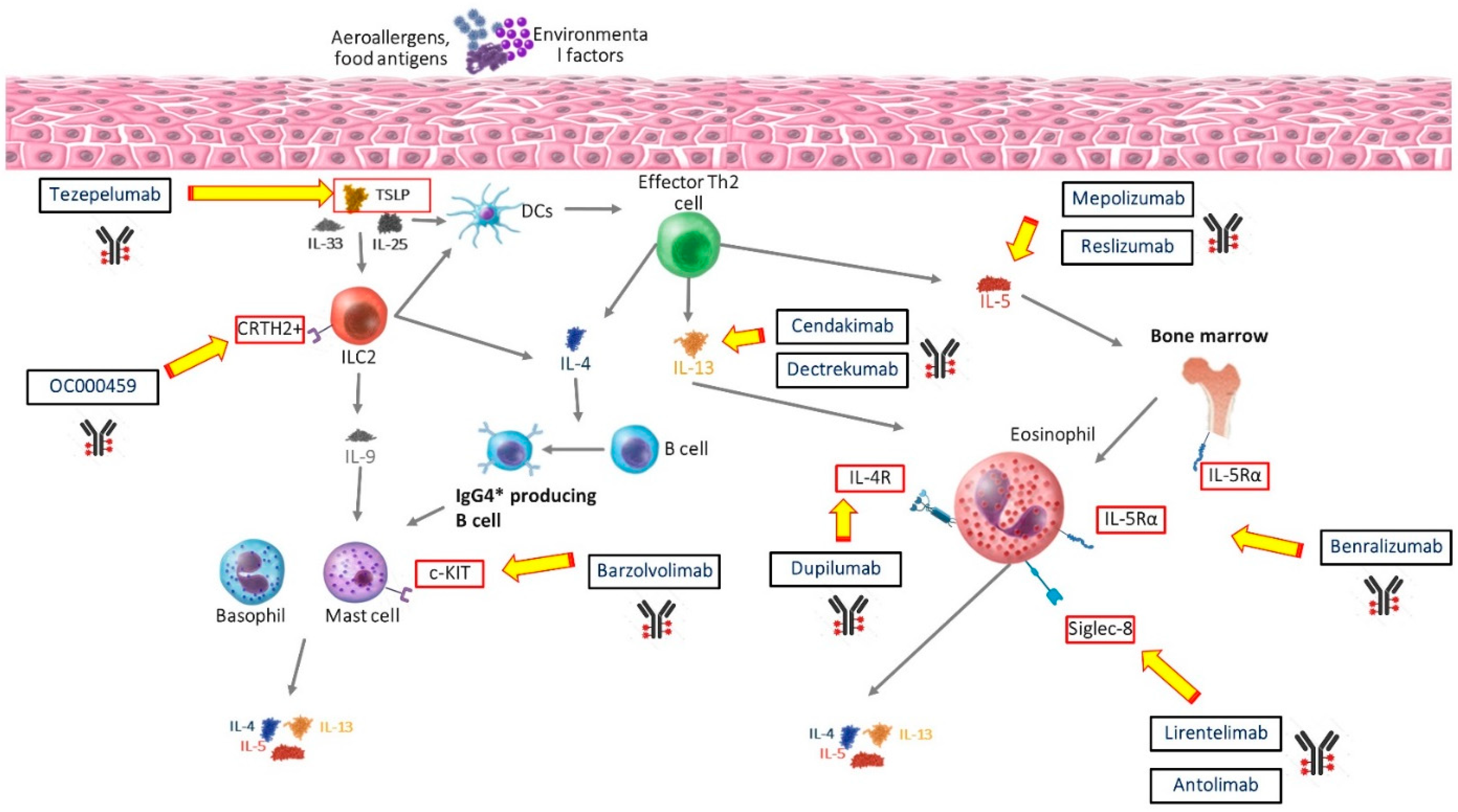 Biomolecules 14 01080 g002