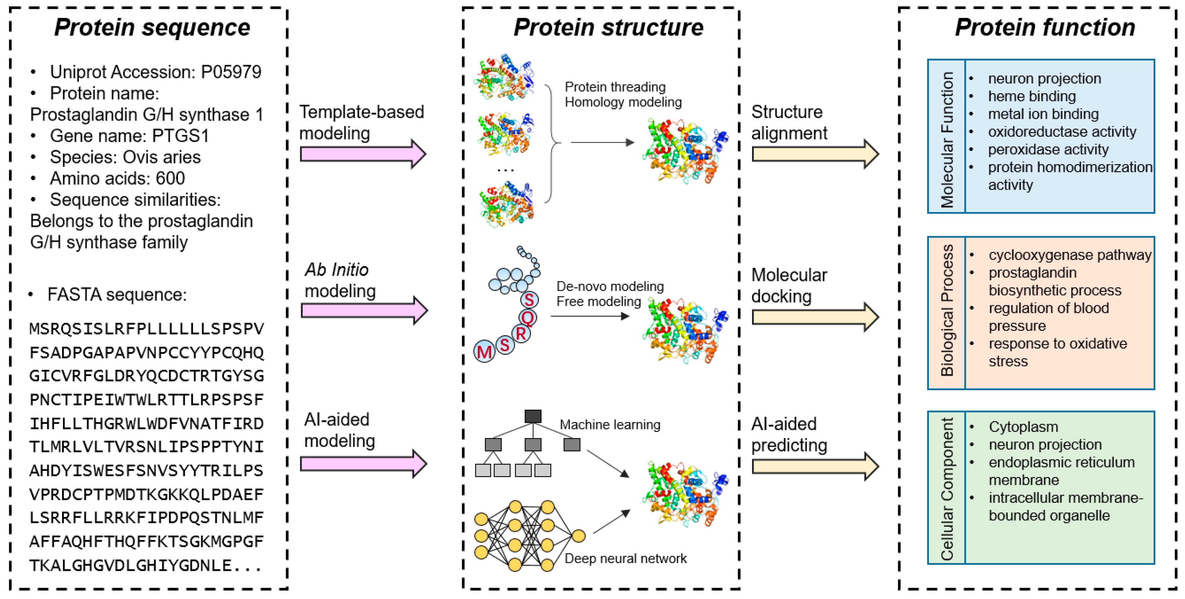 Biomolecules 14 01083 g001