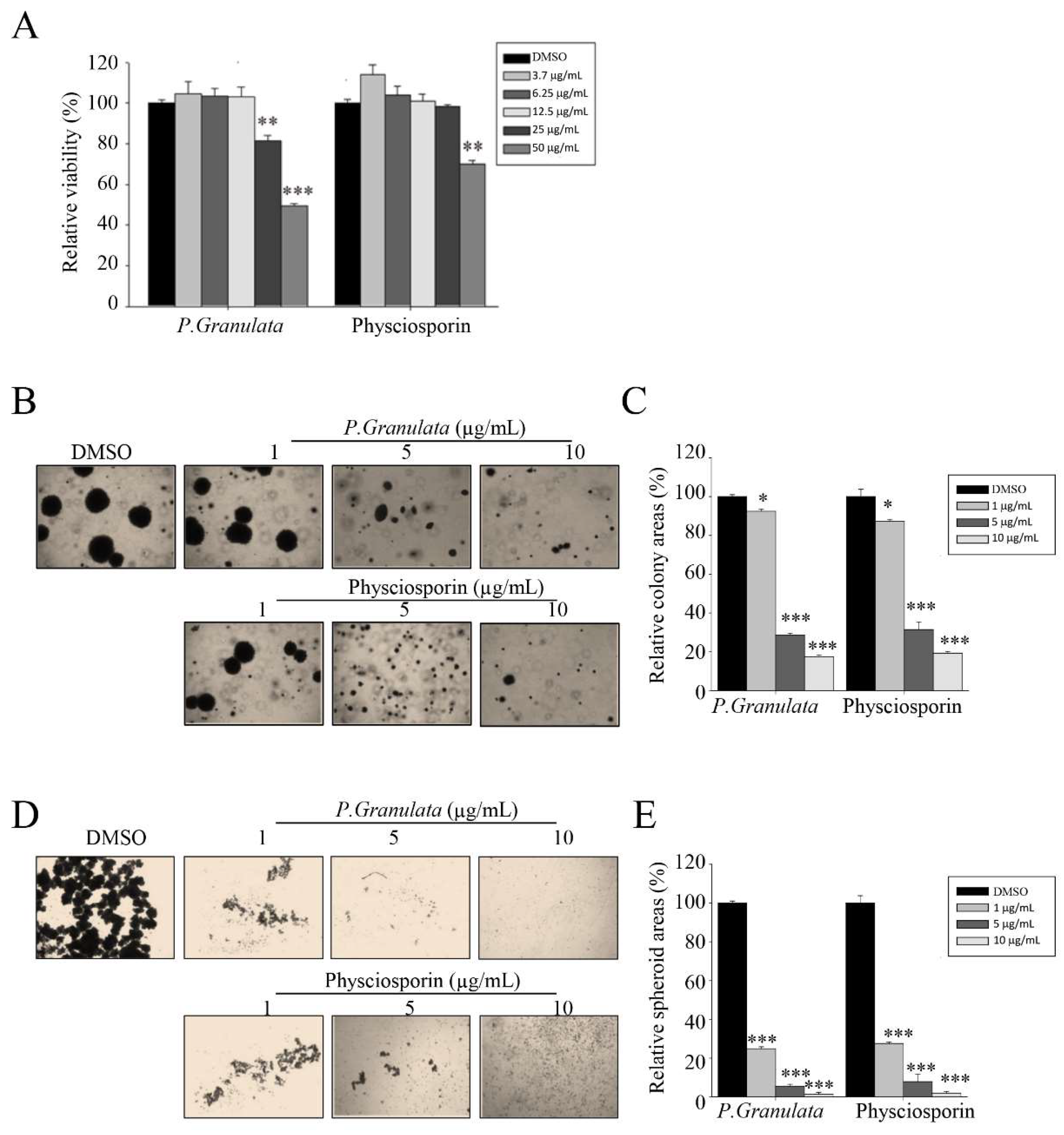 Biomolecules 14 01085 g001