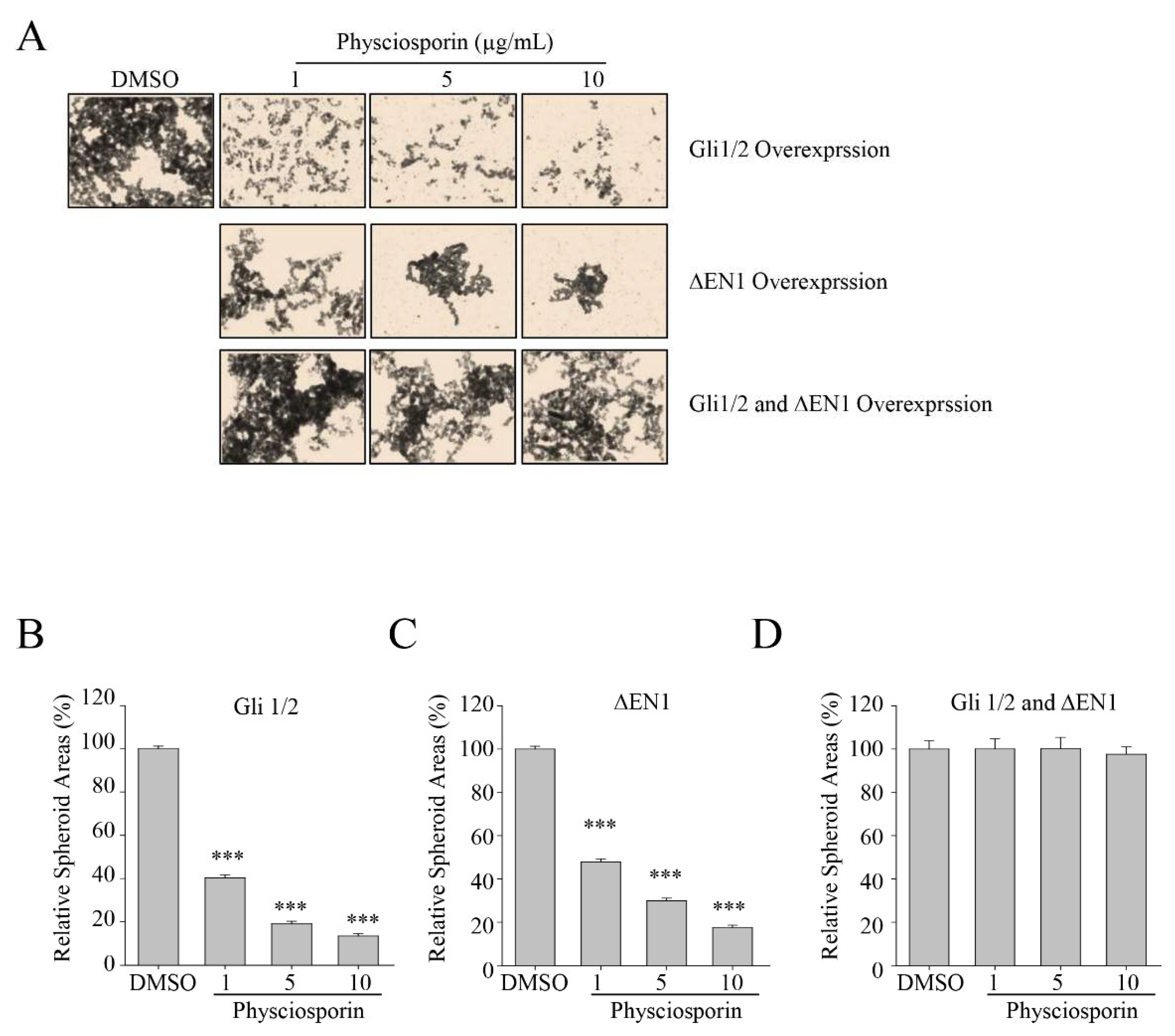 Biomolecules 14 01085 g005