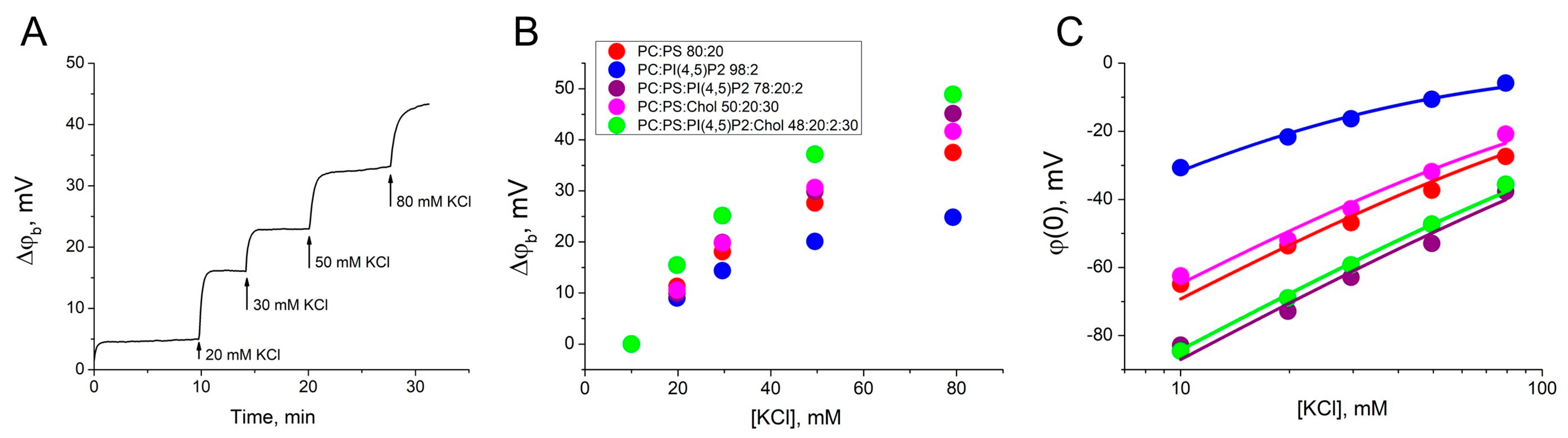 Biomolecules 14 01086 g001