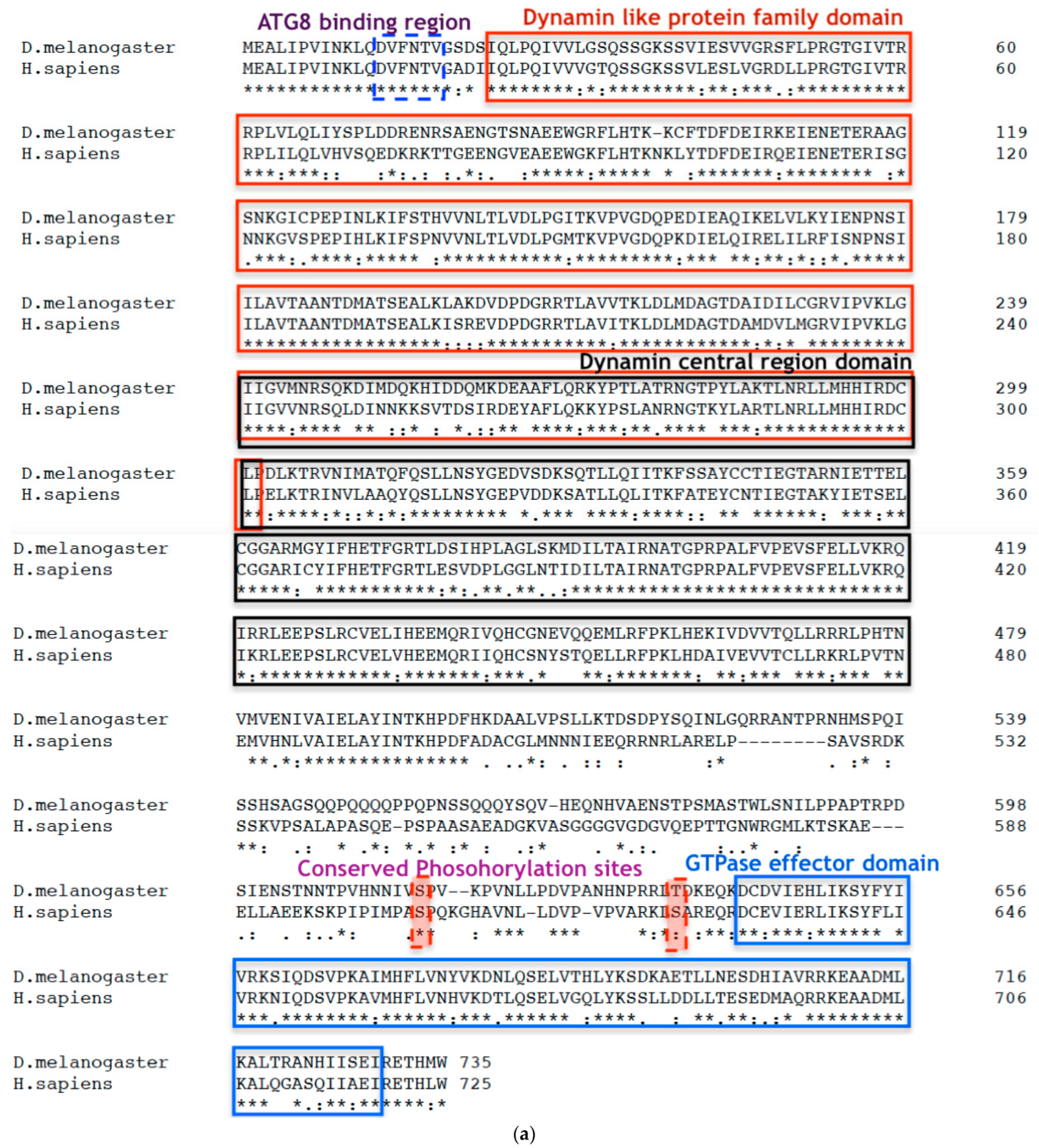 Biomolecules 14 01089 g001a Biomolecules 14 01089 g001a