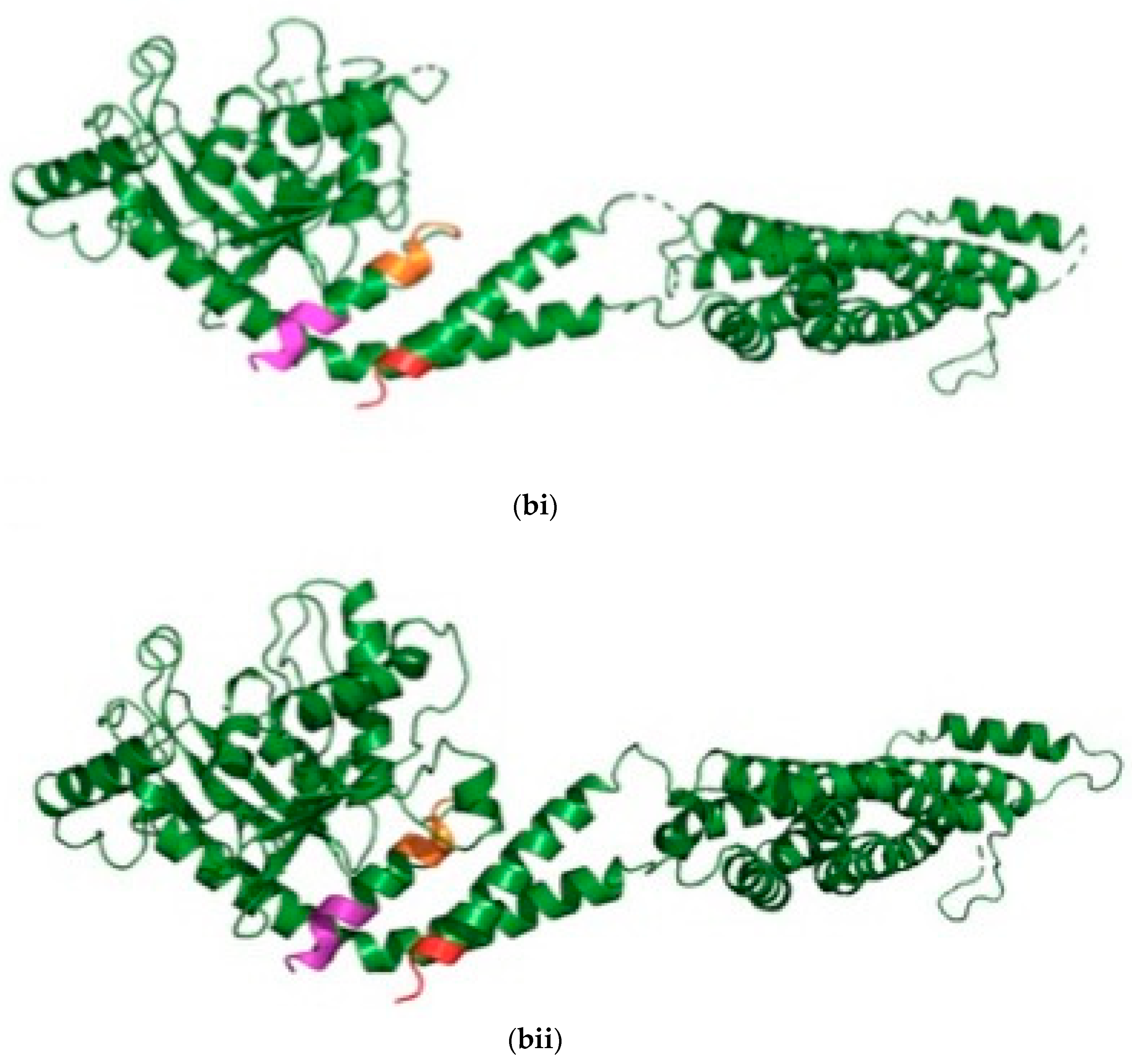 Biomolecules 14 01089 g001b Biomolecules 14 01089 g001b