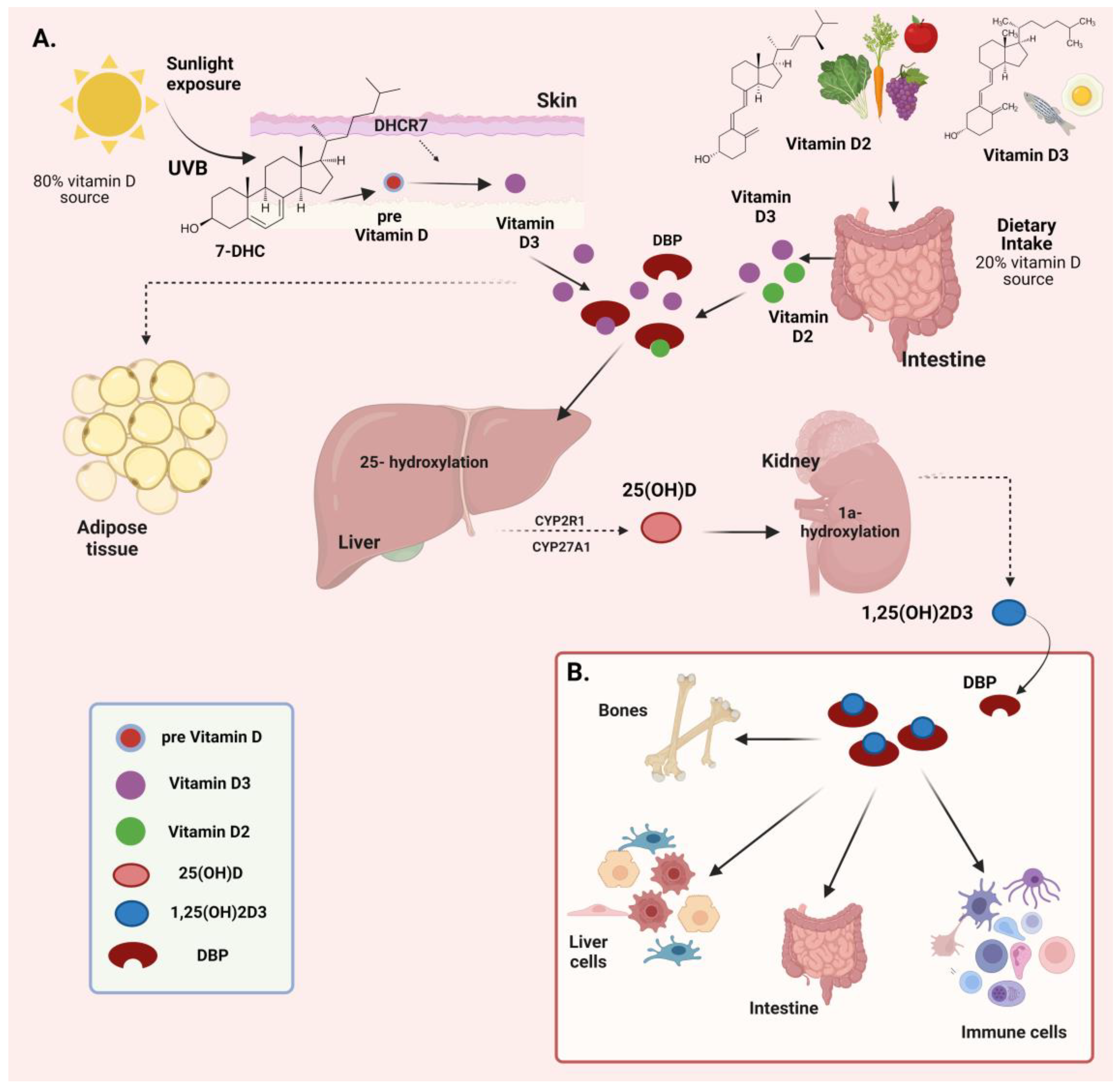 Biomolecules 14 01090 g001