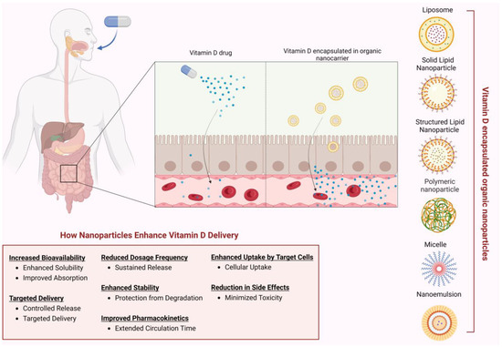 Recent Advances in the Use of Vitamin D Organic Nanocarriers for Drug ...