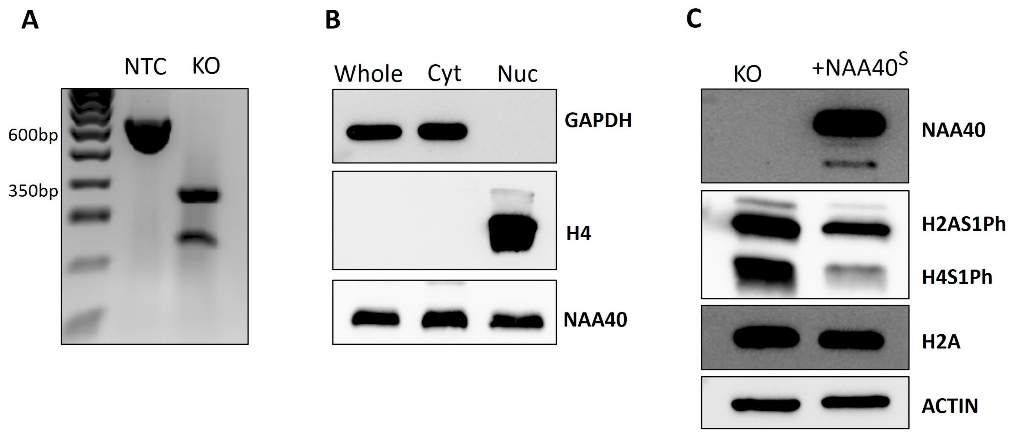 Biomolecules 14 01100 g003