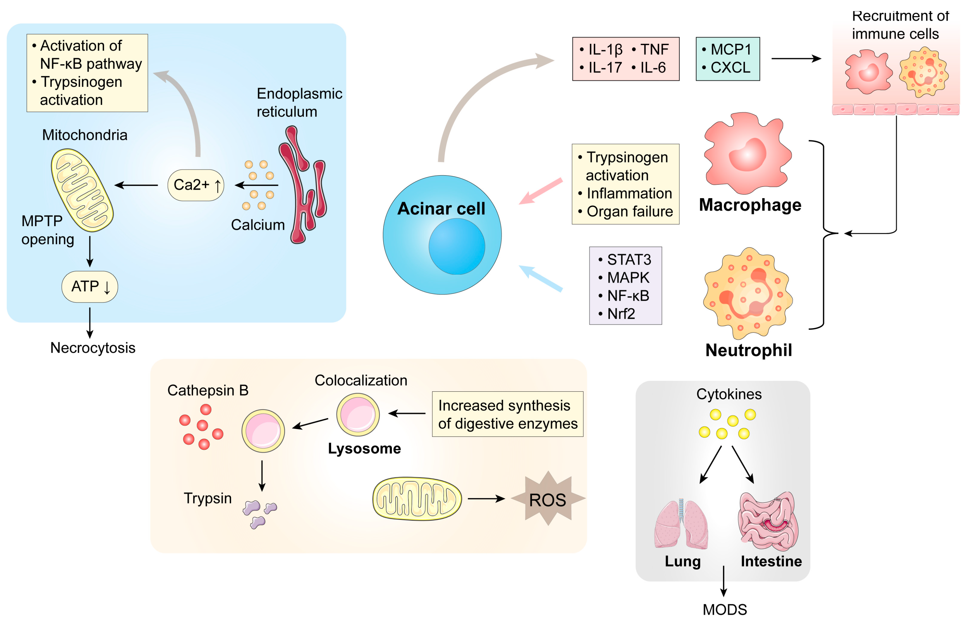 Biomolecules 14 01101 g001