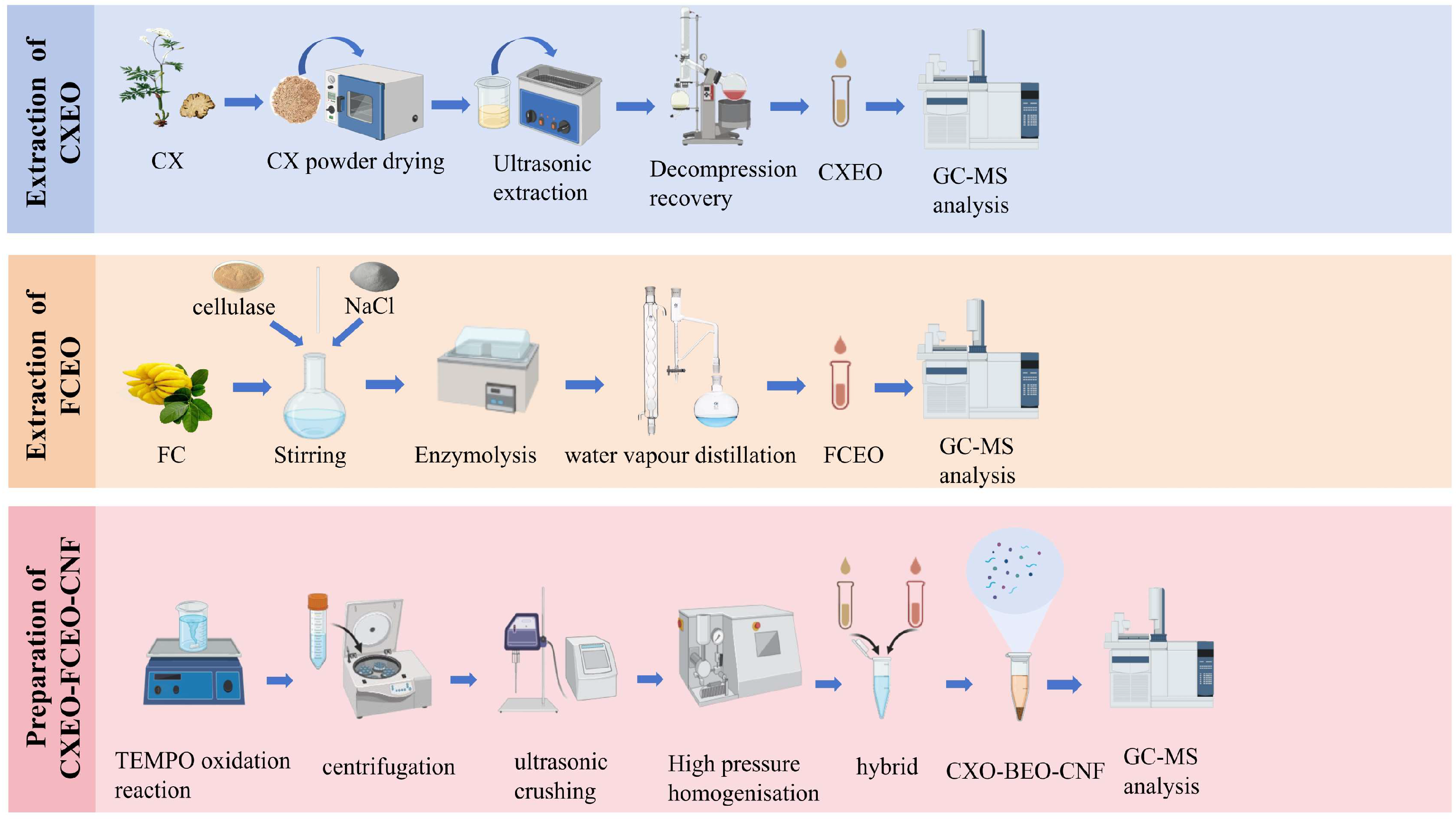 Biomolecules 14 01102 g001
