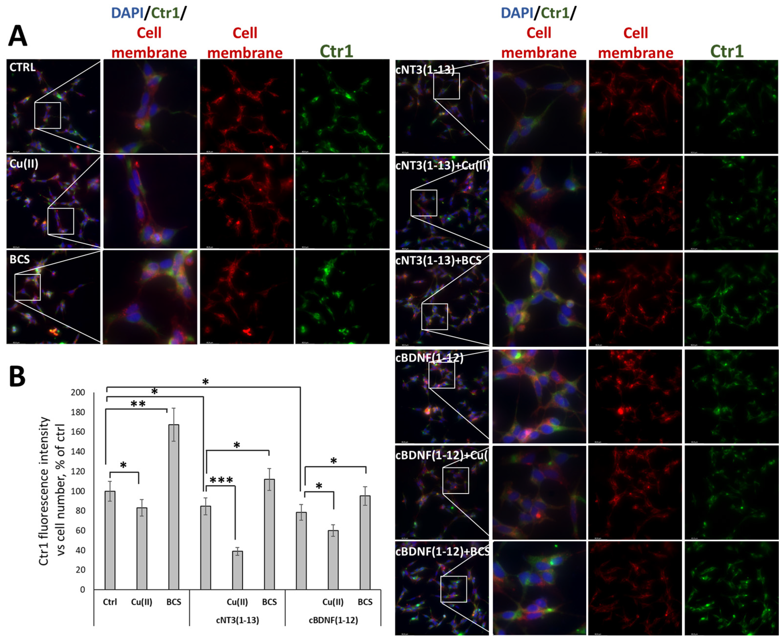 Biomolecules 14 01104 g004