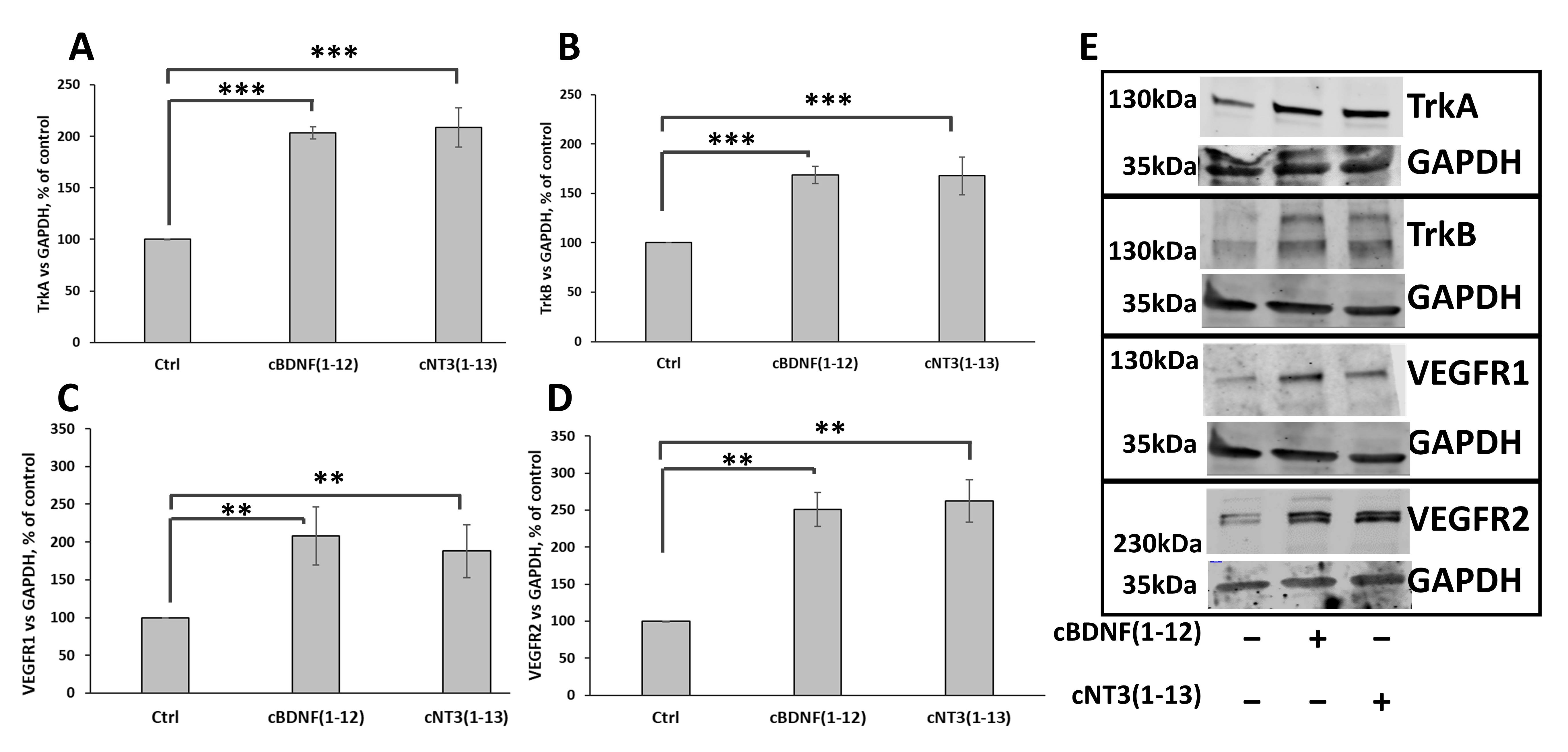 Biomolecules 14 01104 g005