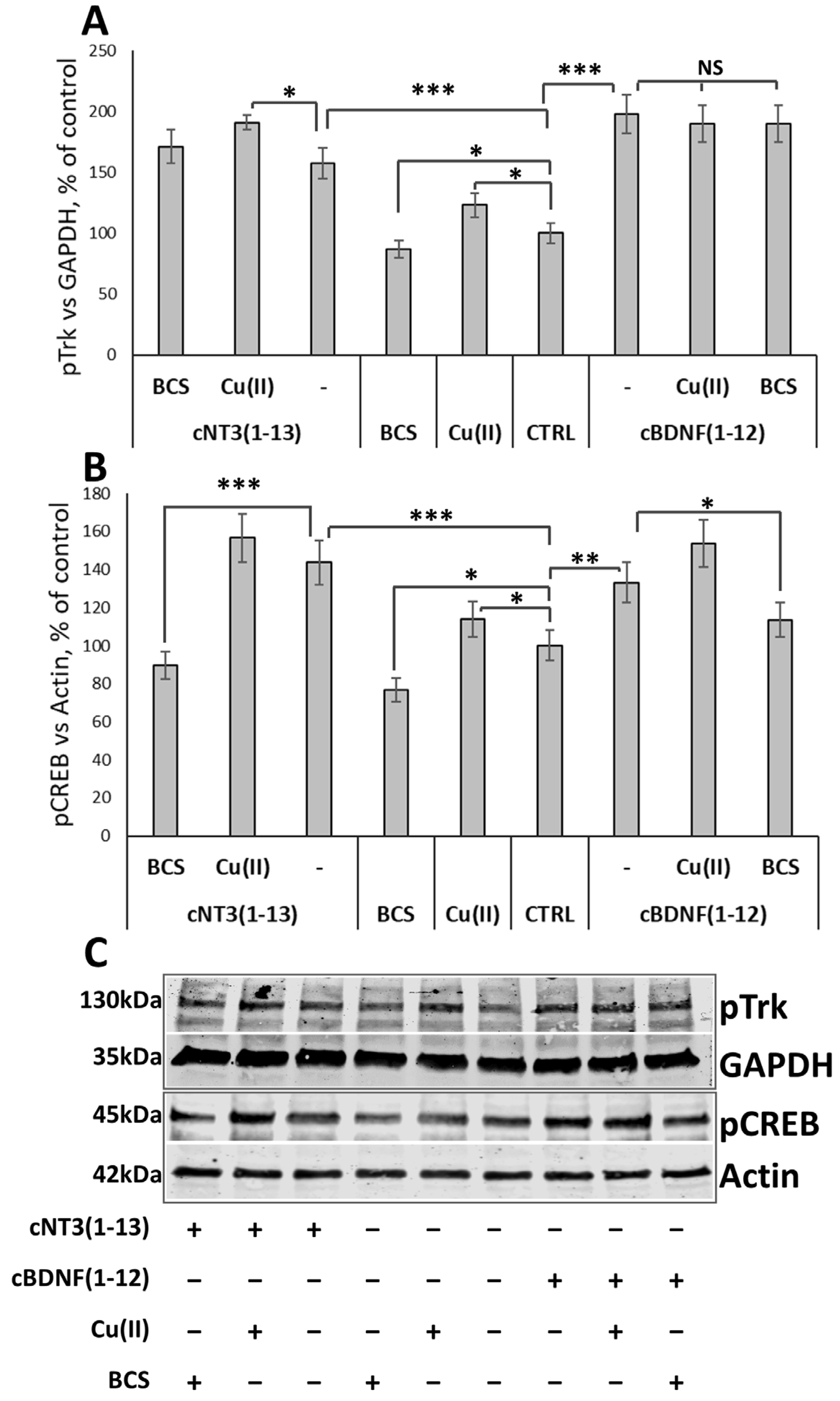 Biomolecules 14 01104 g006