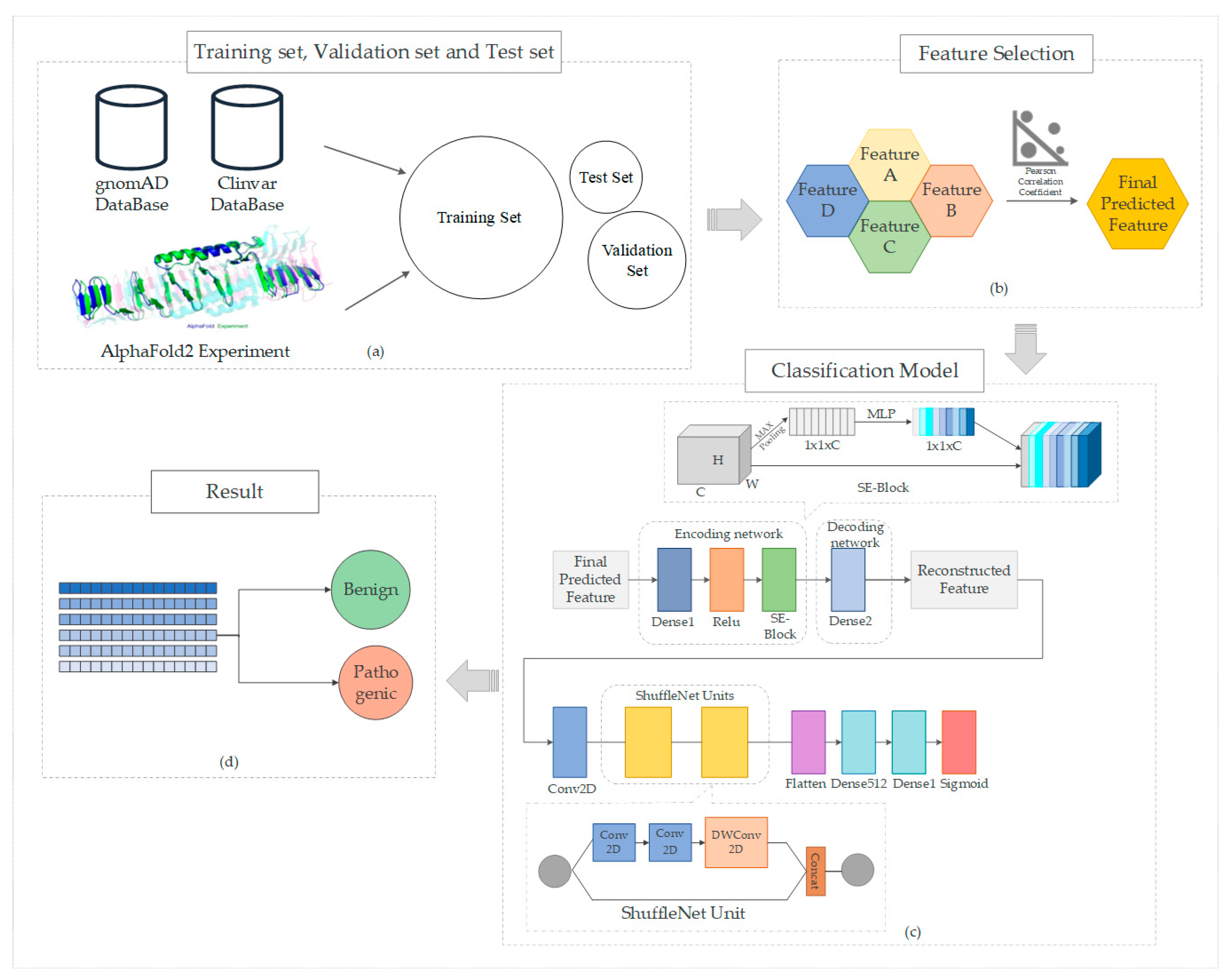 Biomolecules 14 01105 g001