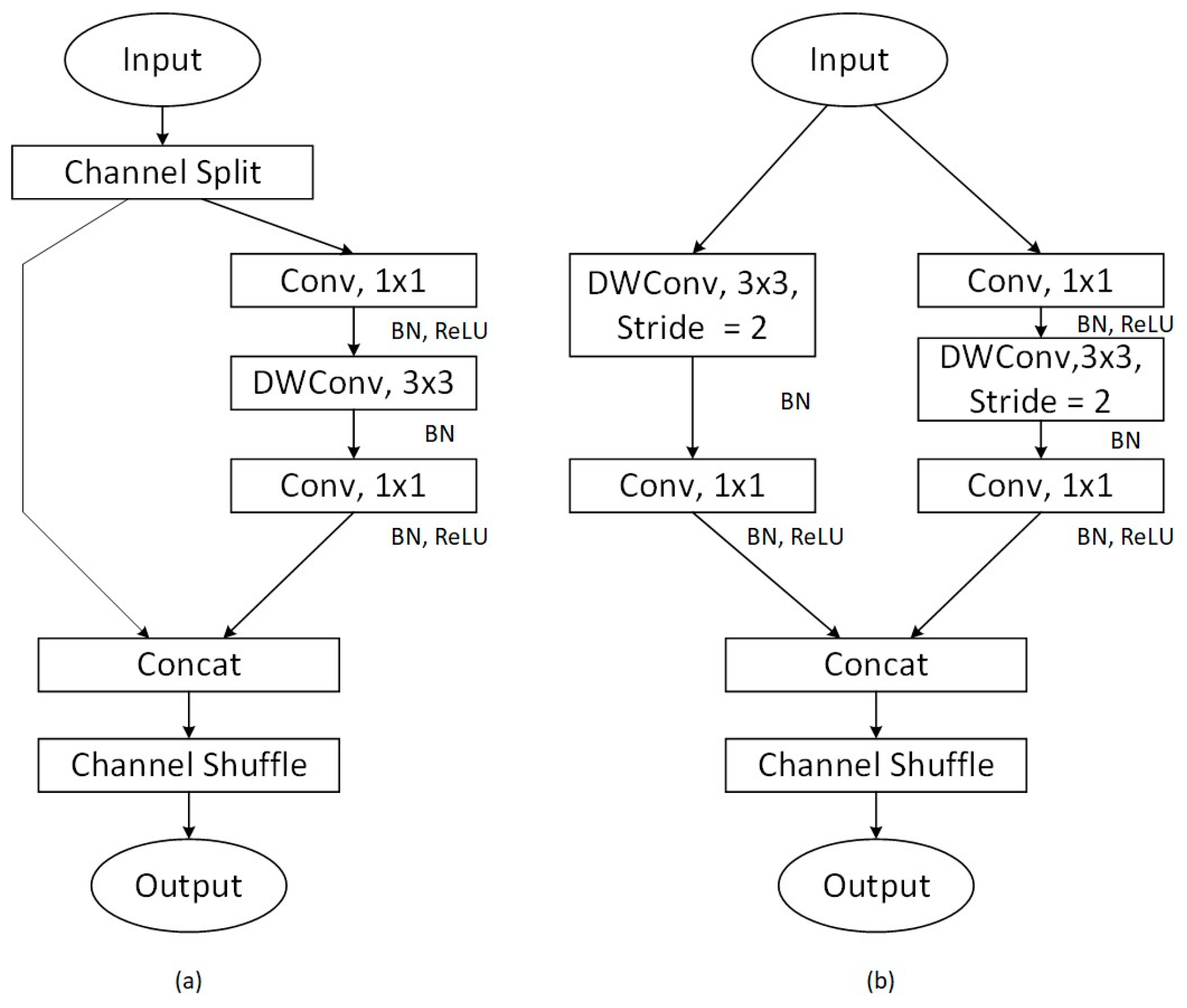 Biomolecules 14 01105 g002