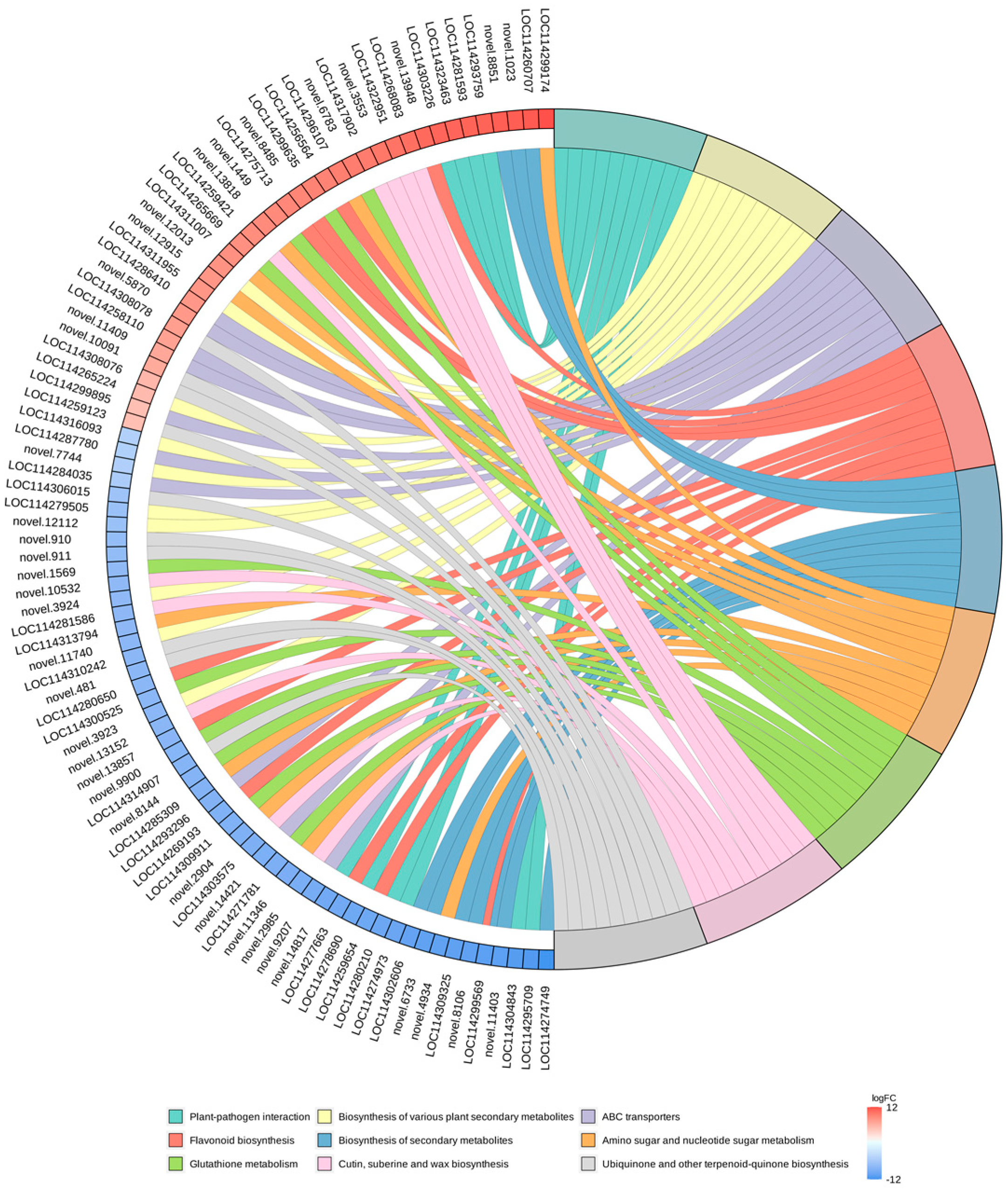 Biomolecules 14 01106 g008