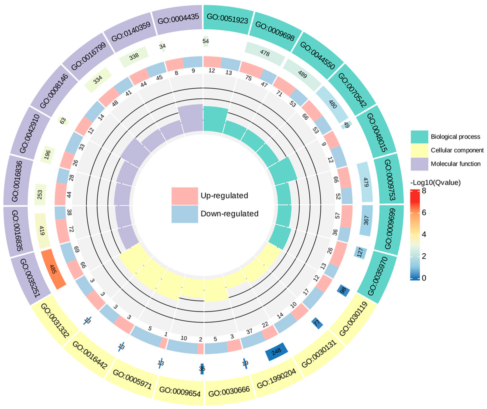Biomolecules 14 01106 g009